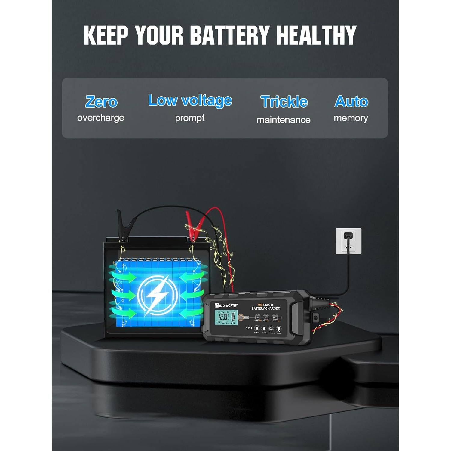 Cargador de Batería ECO-WORTHY 12V 10A Inteligente y Desulfatador