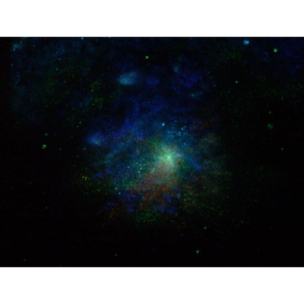 Pintura Acrílica ProFX Naranja Luminoso 2 Onzas Brilla en la Oscuridad