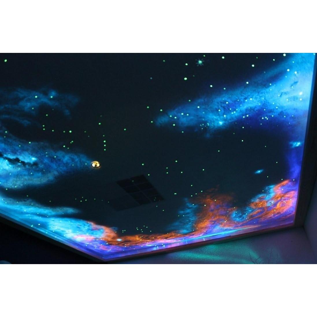 Pintura Acrílica ProFX Naranja Luminoso 2 Onzas Brilla en la Oscuridad