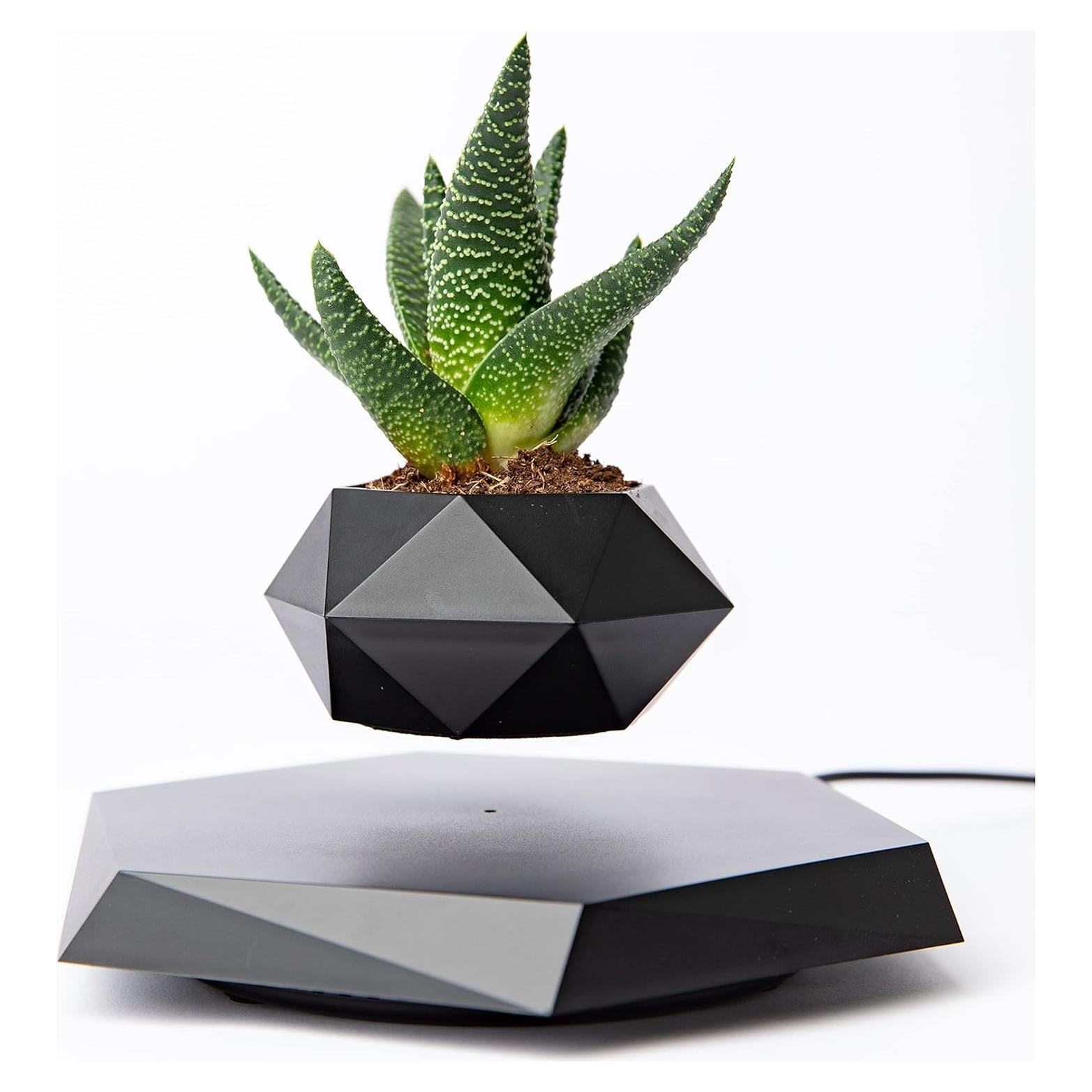 Maceta Flotante BandD Hexagonal Negra para Plantas Pequeñas