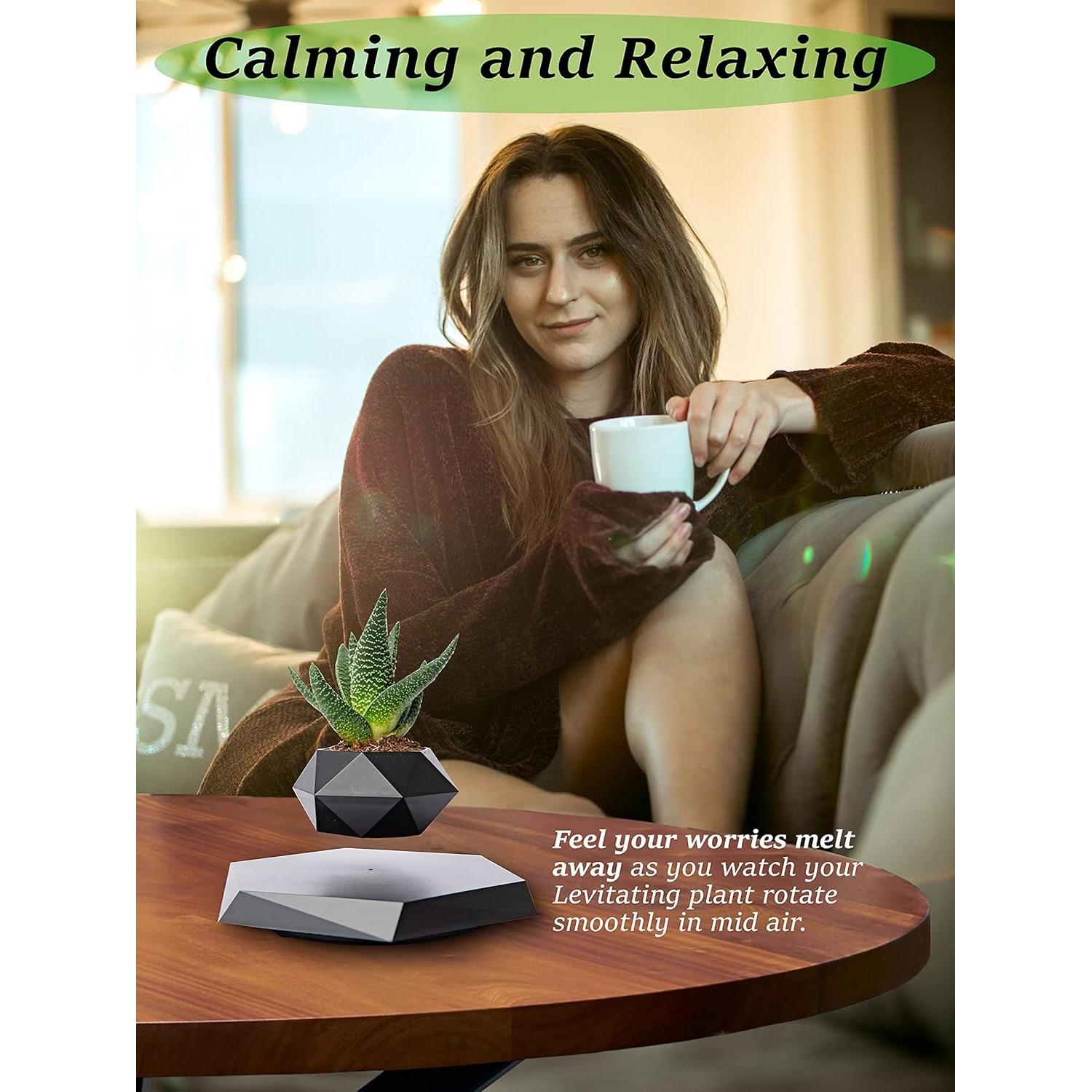 Maceta Flotante BandD Hexagonal Negra para Plantas Pequeñas