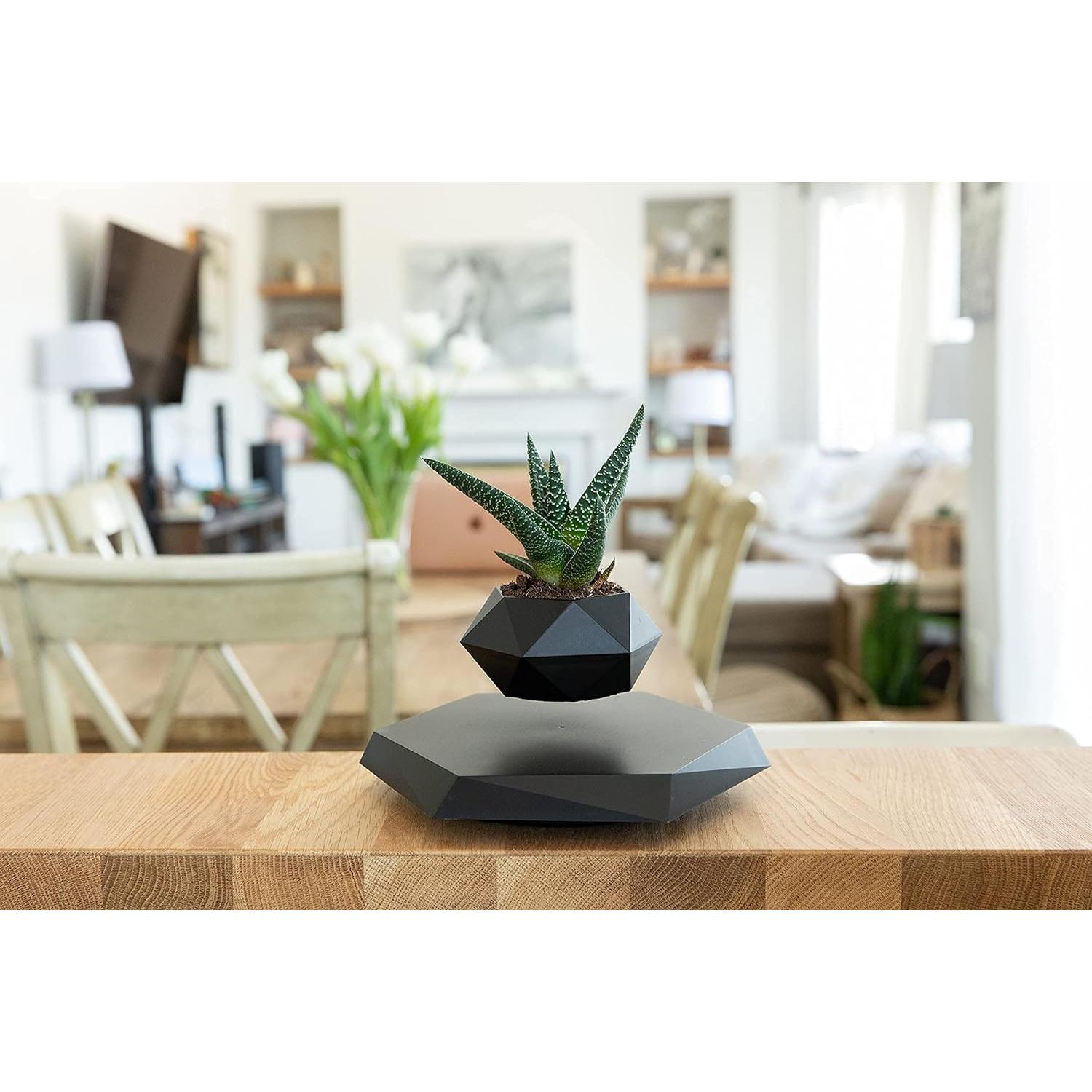 Maceta Flotante BandD Hexagonal Negra para Plantas Pequeñas