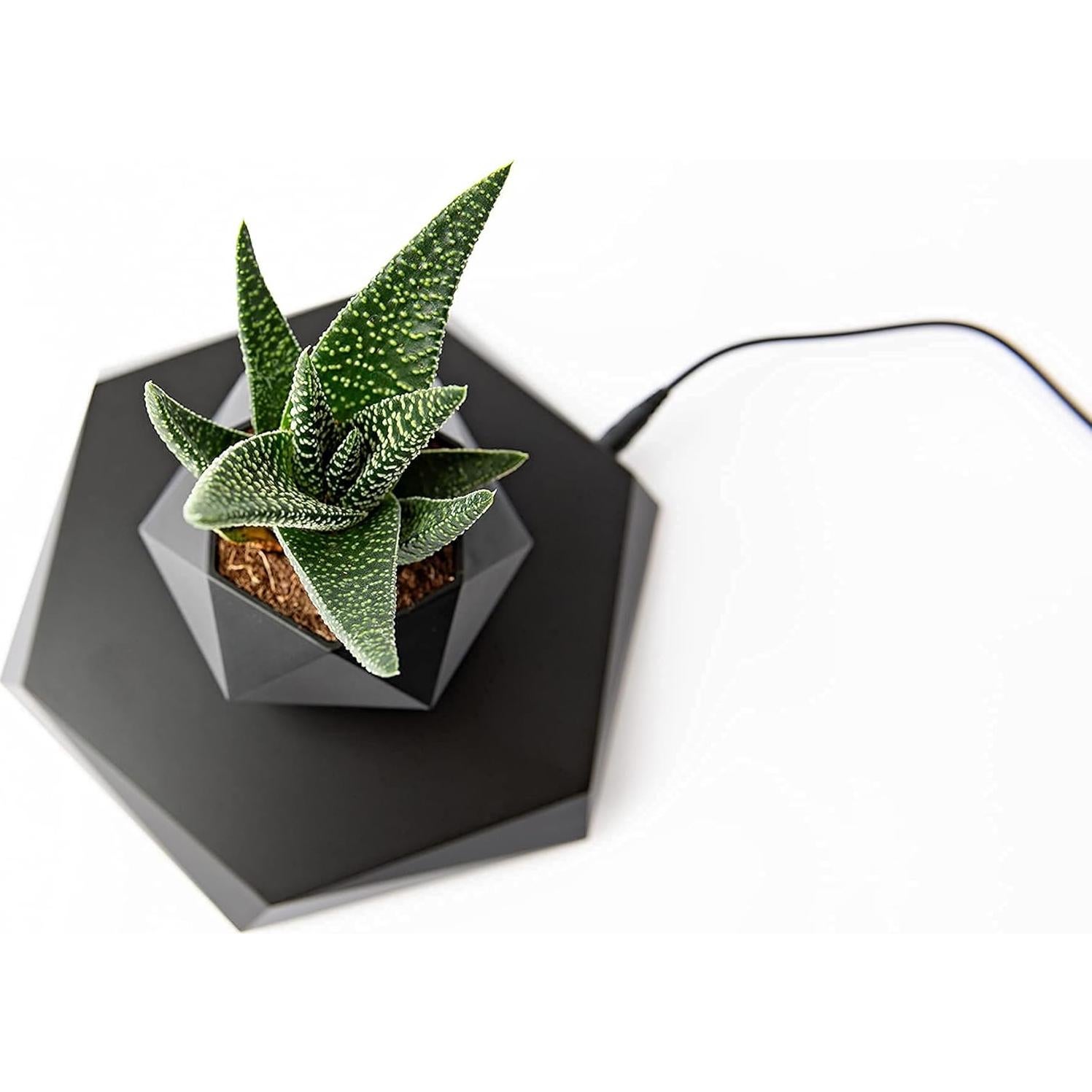 Maceta Flotante BandD Hexagonal Negra para Plantas Pequeñas