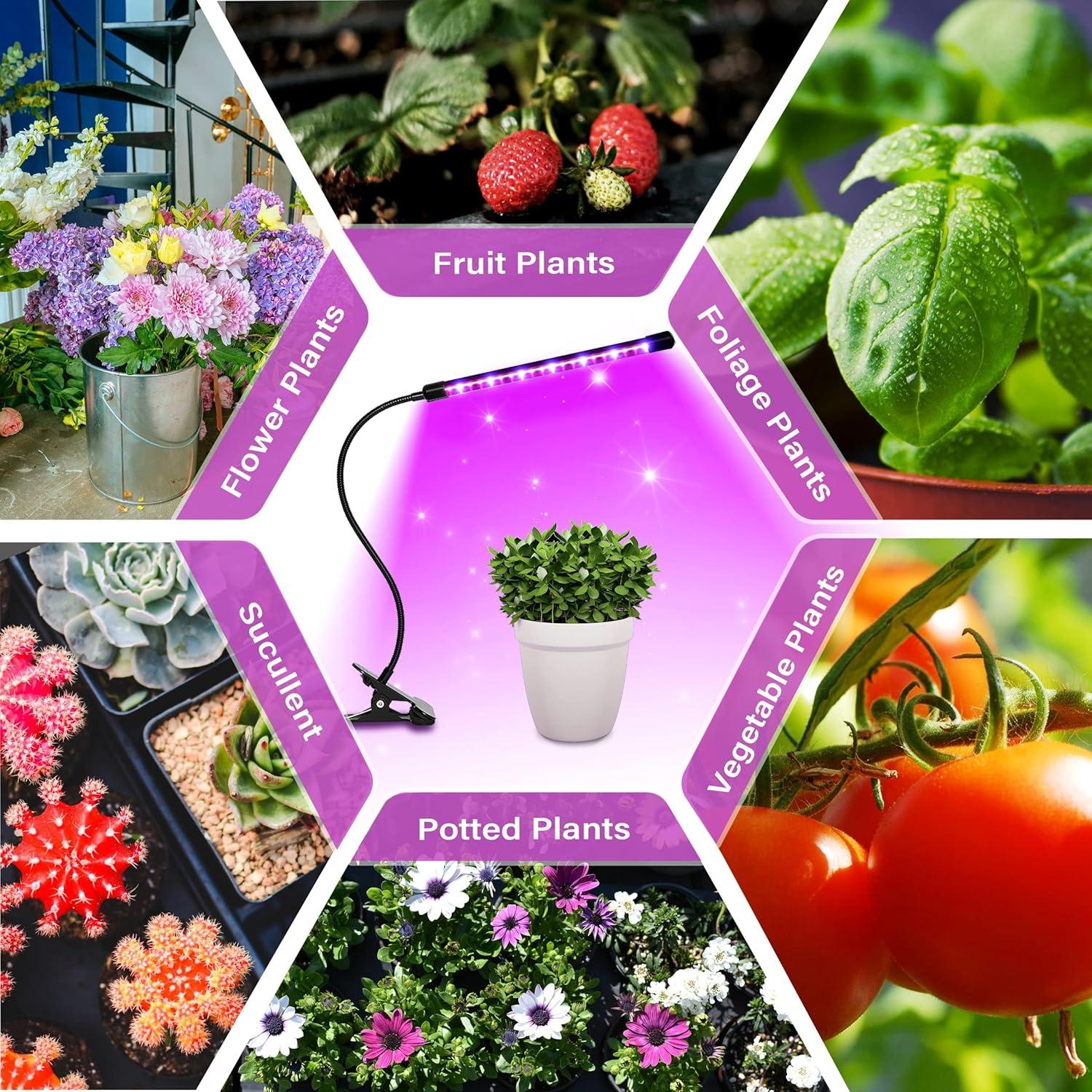 Luz de Cultivo LED iPower 21 Espectro Completo 3000 Lúmenes