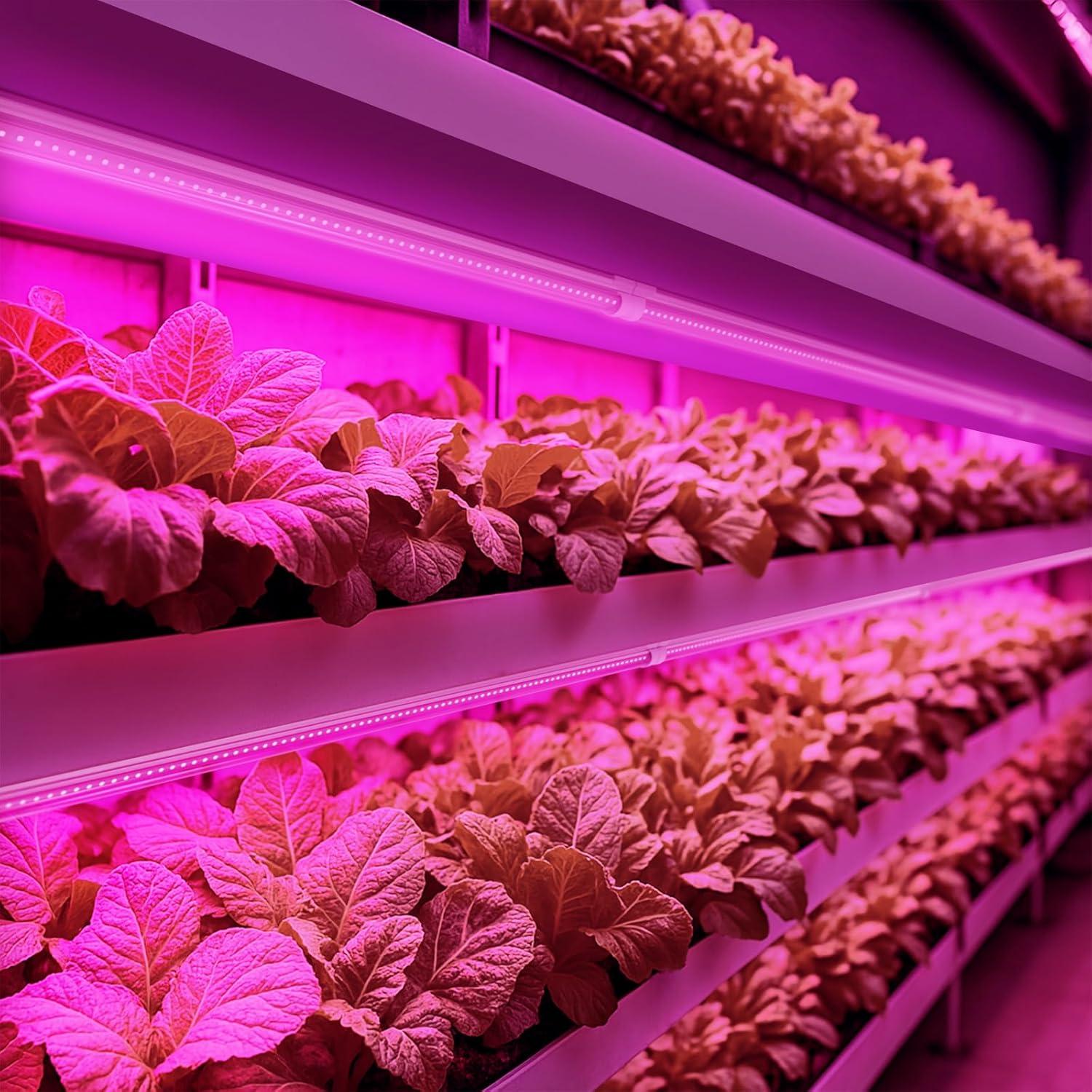 Luces de Cultivo LED Barrina 252W 4ft Espectro Completo Paquete de 6