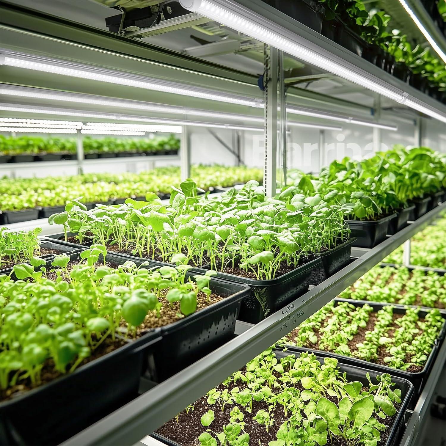 Luces de Cultivo LED Barrina T8 1.22M 168W Espectro Completo