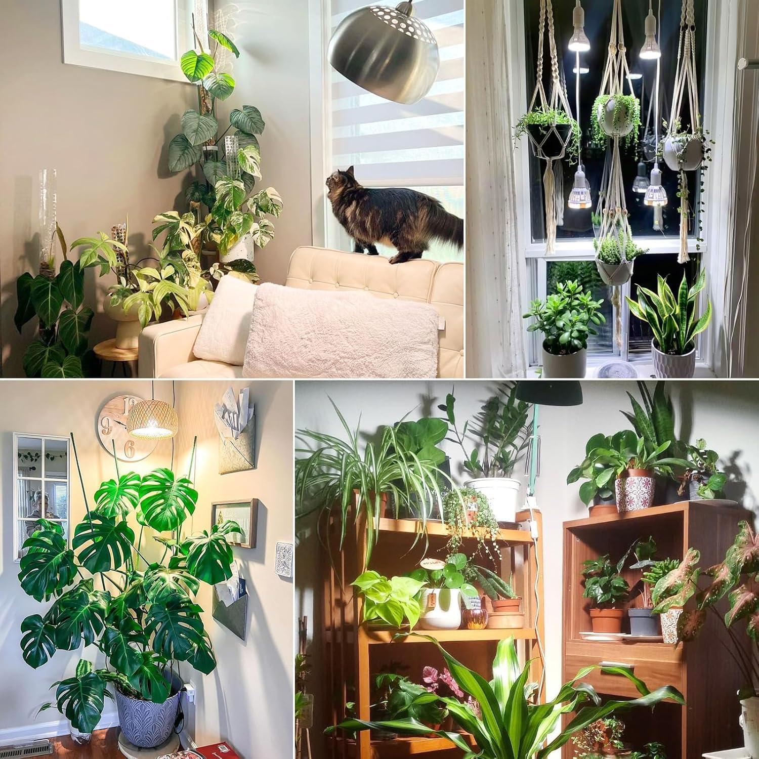 Bombilla de Crecimiento LED SANSI BR30 24W Espectro Completo IP54