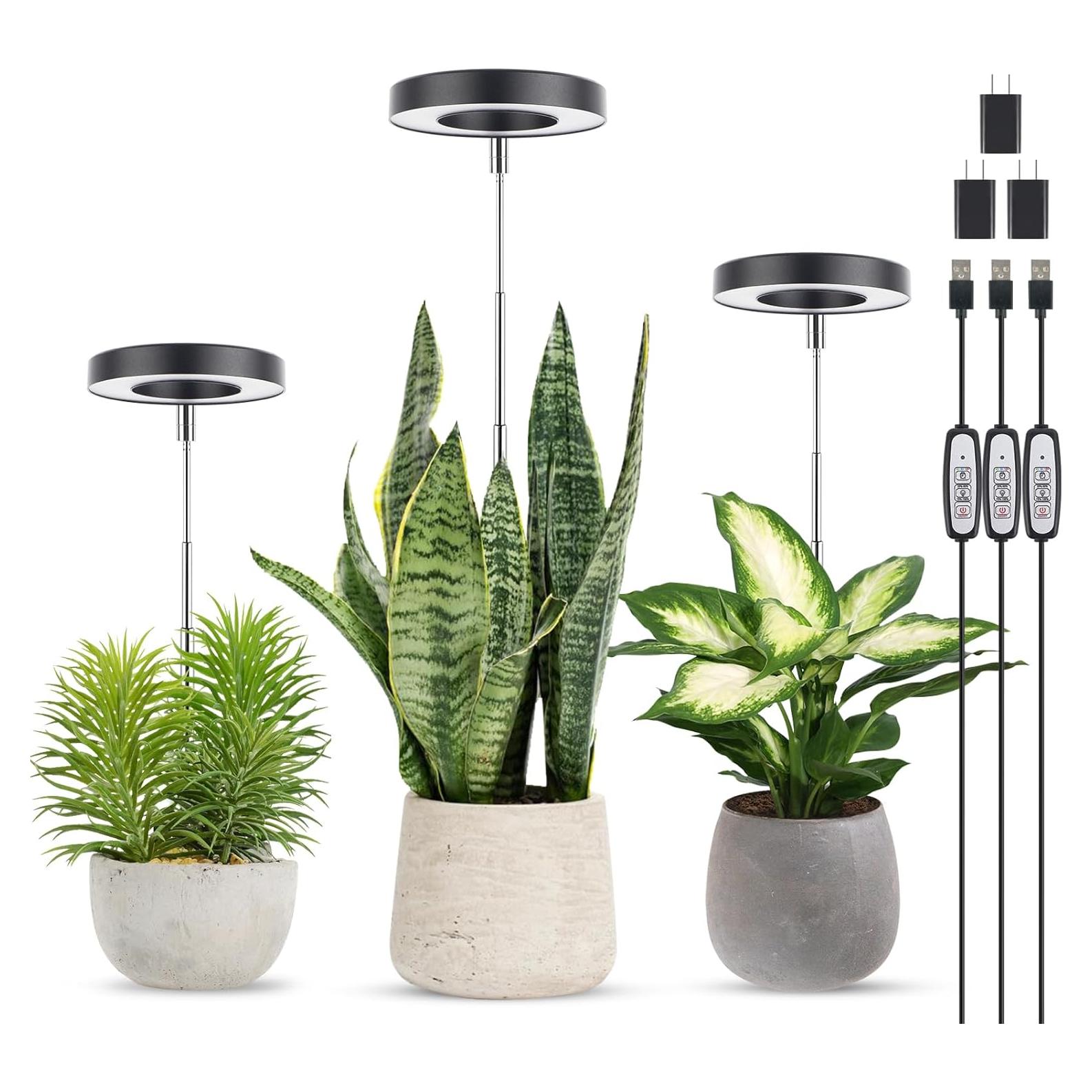 Luz de Cultivo LED LORDEM Halo 30W Espectro Completo 3 Paquetes