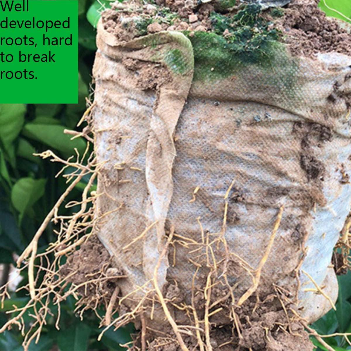 Bolsas de Vivero Biodegradables Gardtree 10x12 cm 400PCS