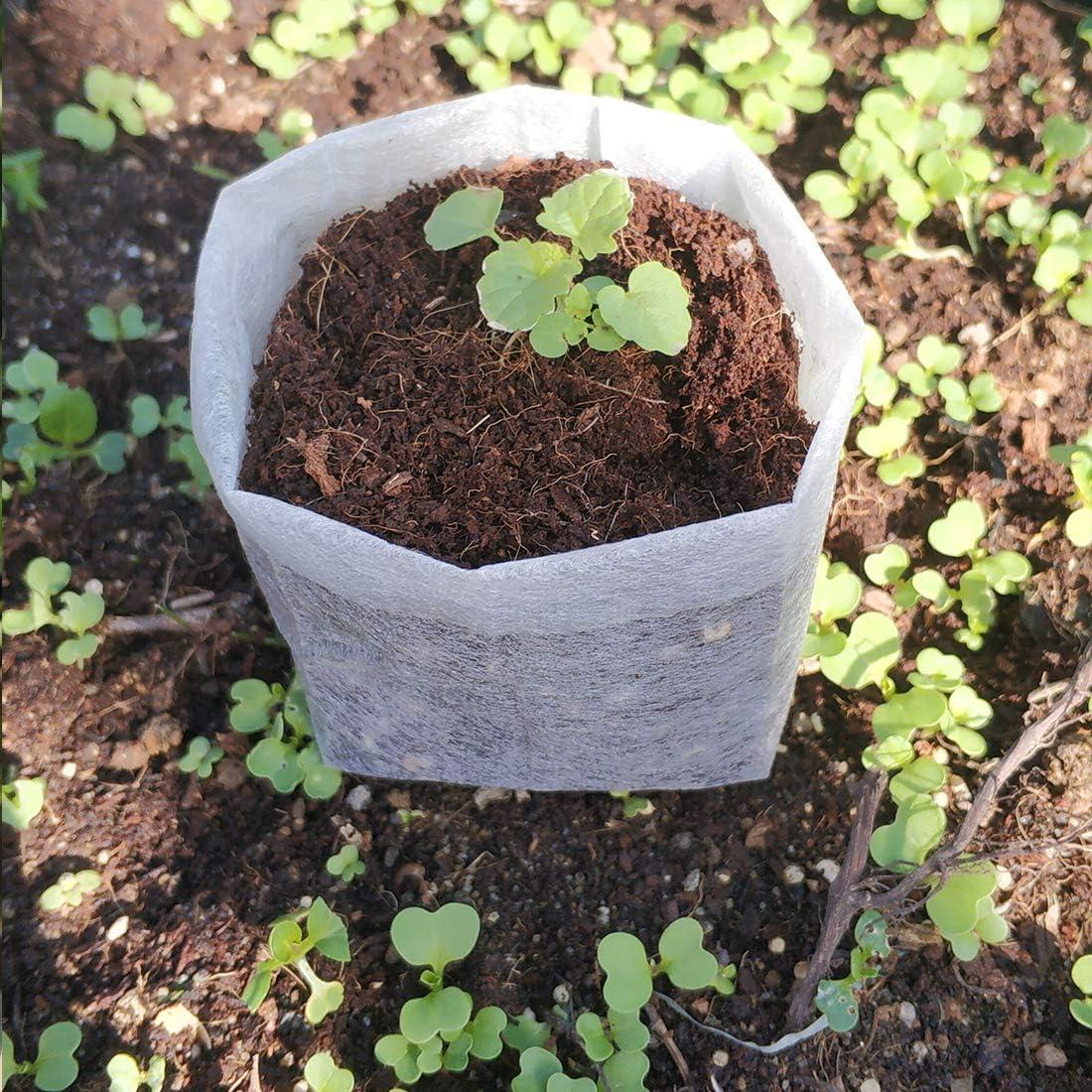 Bolsas de Cultivo Belit 100 Pcs 14.5x14.5 cm Tela No Tejida