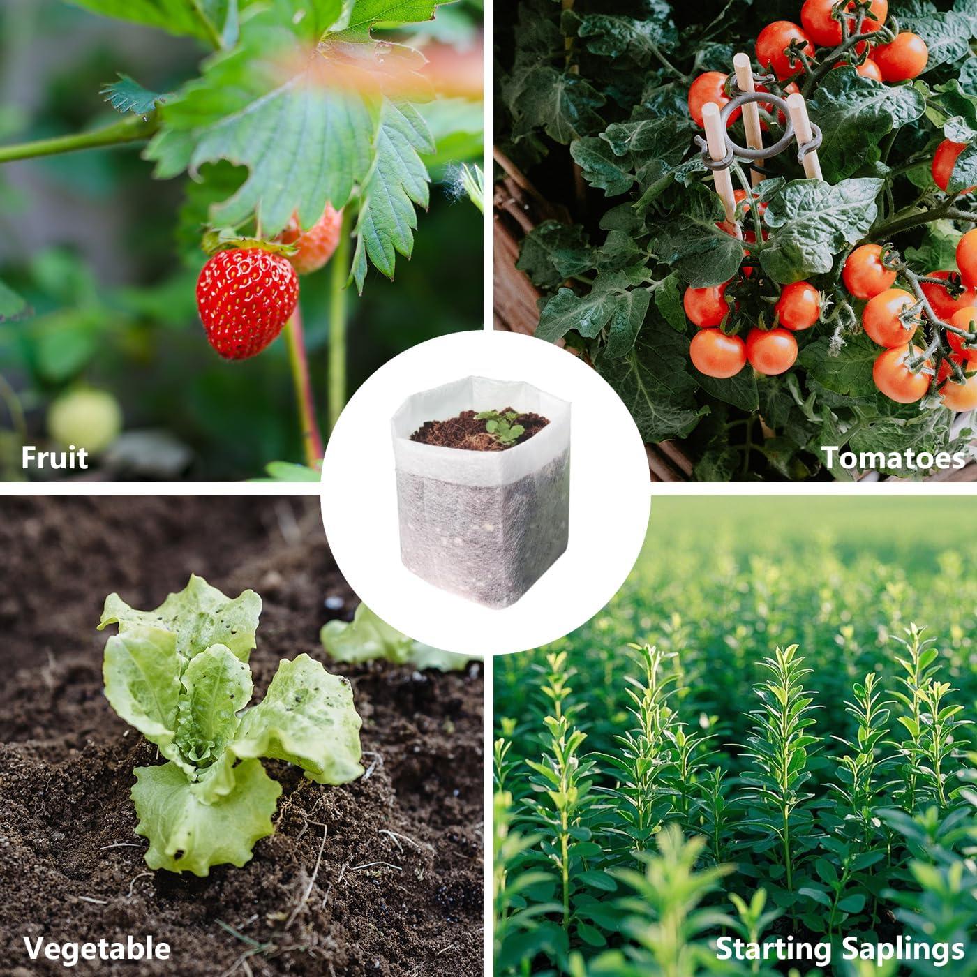 Bolsas de Cultivo Belit 100 Pcs 14.5x14.5 cm Tela No Tejida