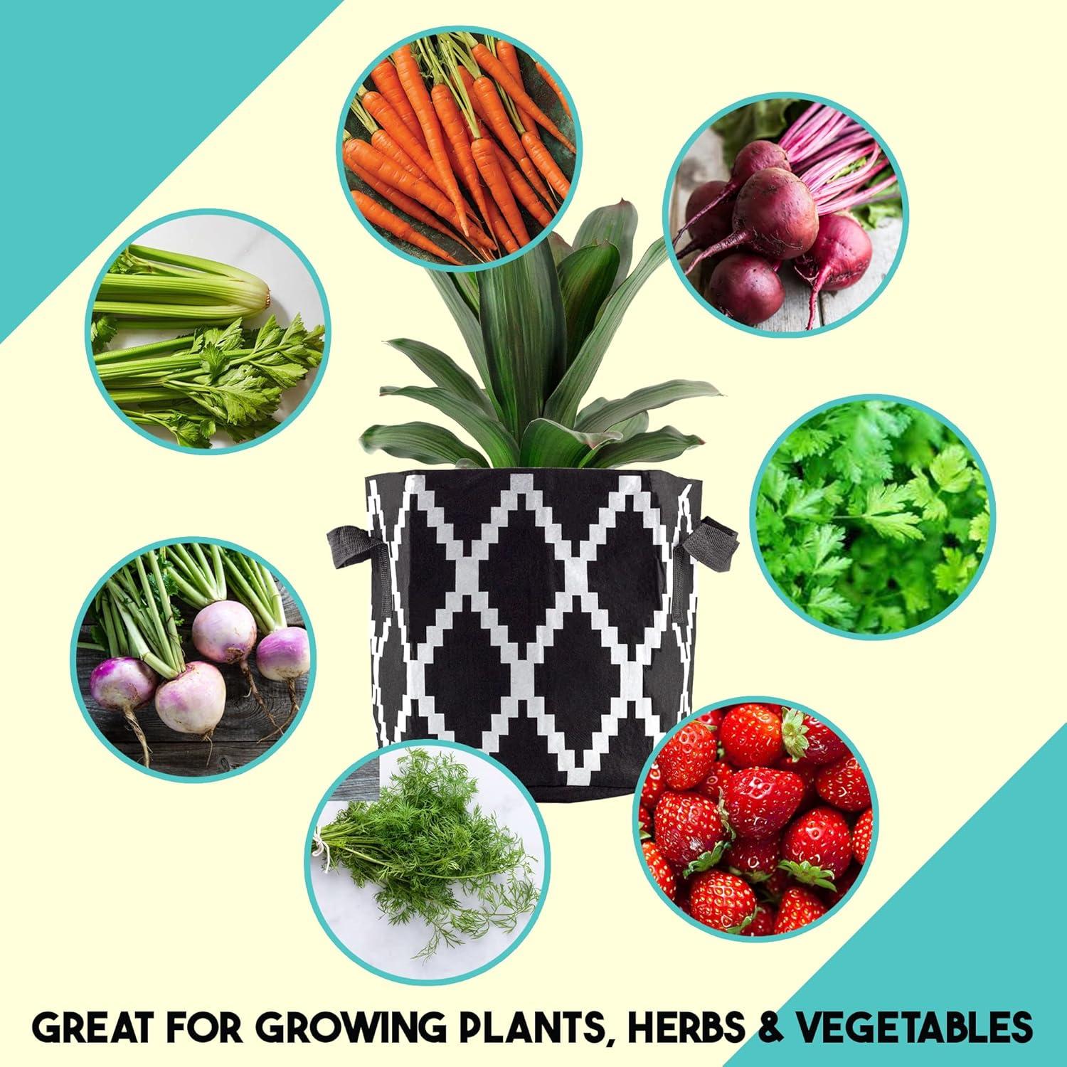 Bolsas de Cultivo Darware 3 Galones Juego de 4 Boho Negro Blanco