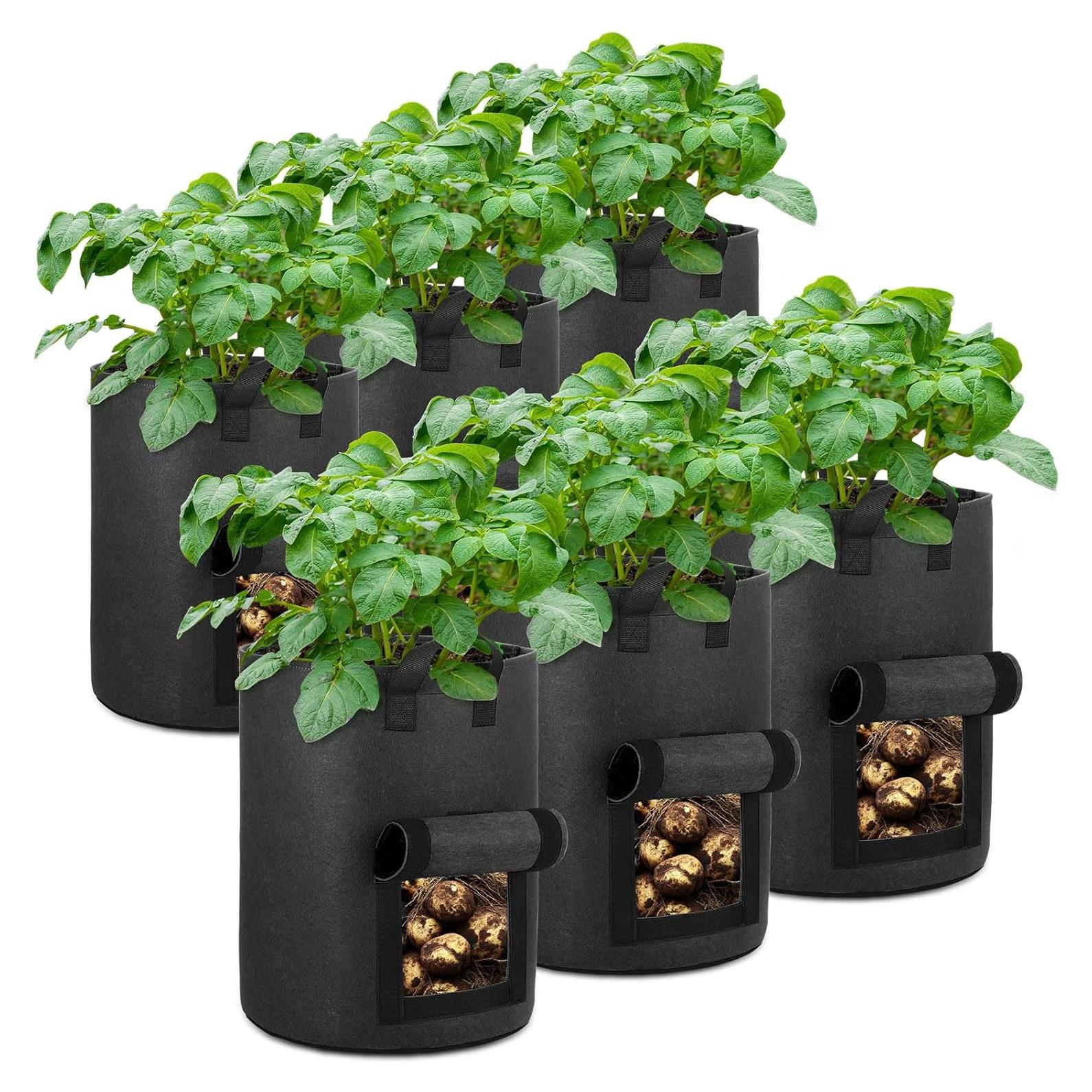 Paquete de 6 bolsas de cultivo de papa OPPOLIFE 10 galones