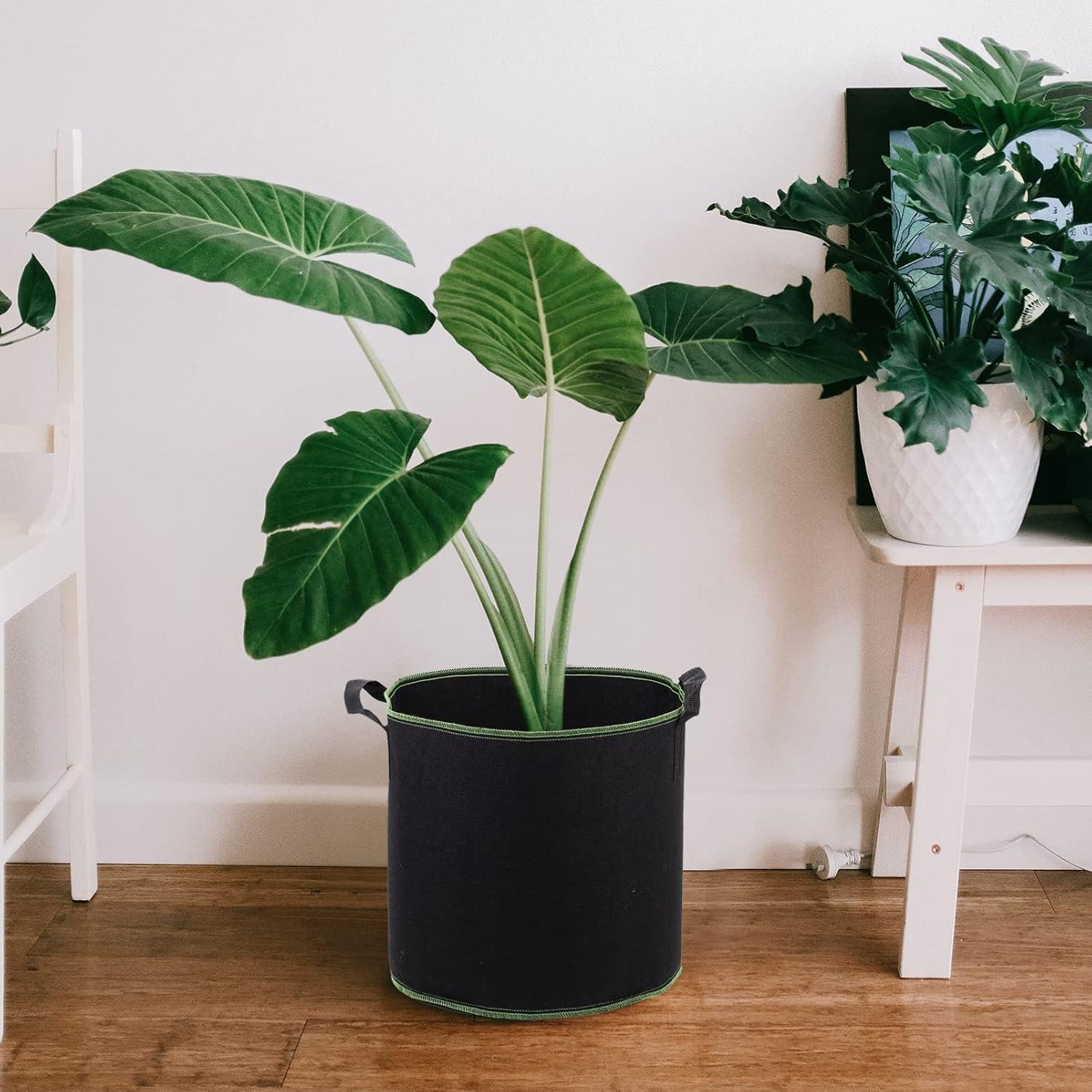 Bolsas de Crecimiento de Tela YARNOW 4 Galones 5 Pcs