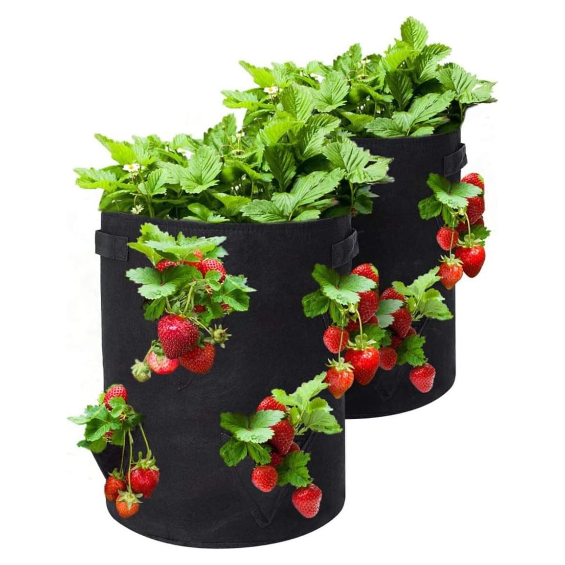 Bolsas de Cultivo de Fresas BeyondNice - 2 Macetas 37.85L