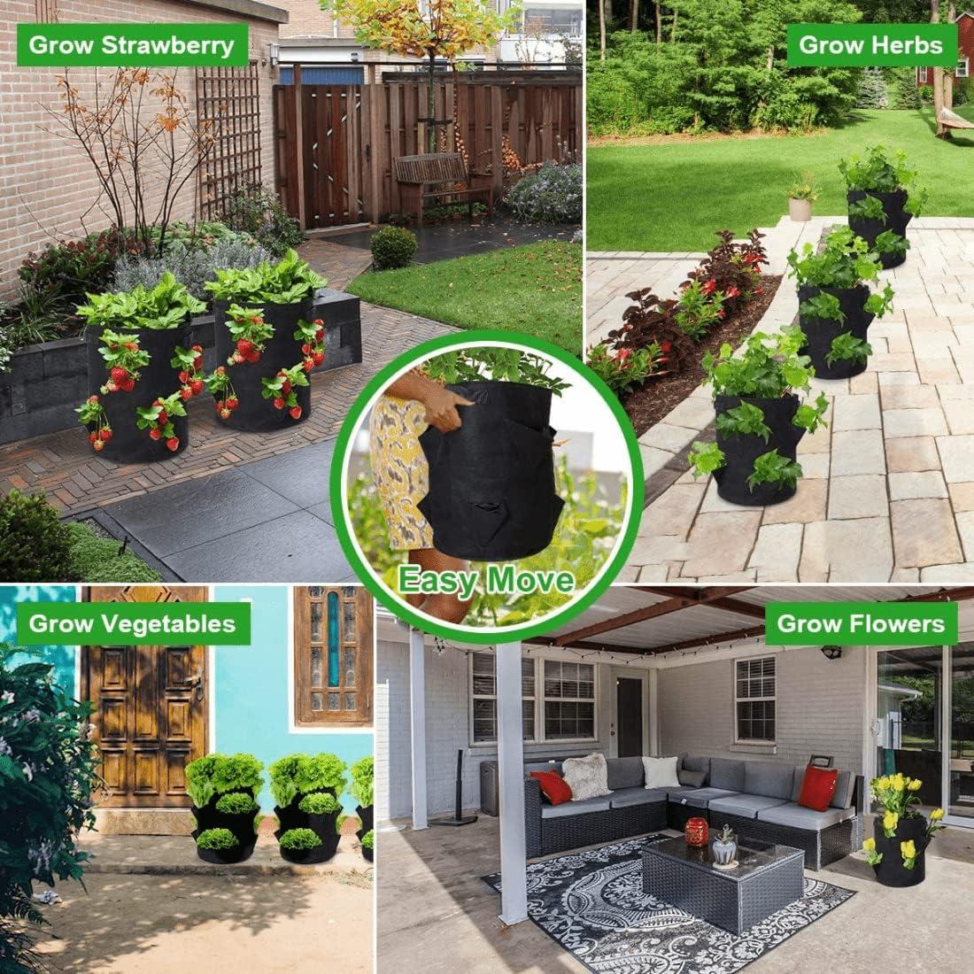 Bolsas de Cultivo de Fresas BeyondNice - 2 Macetas 37.85L