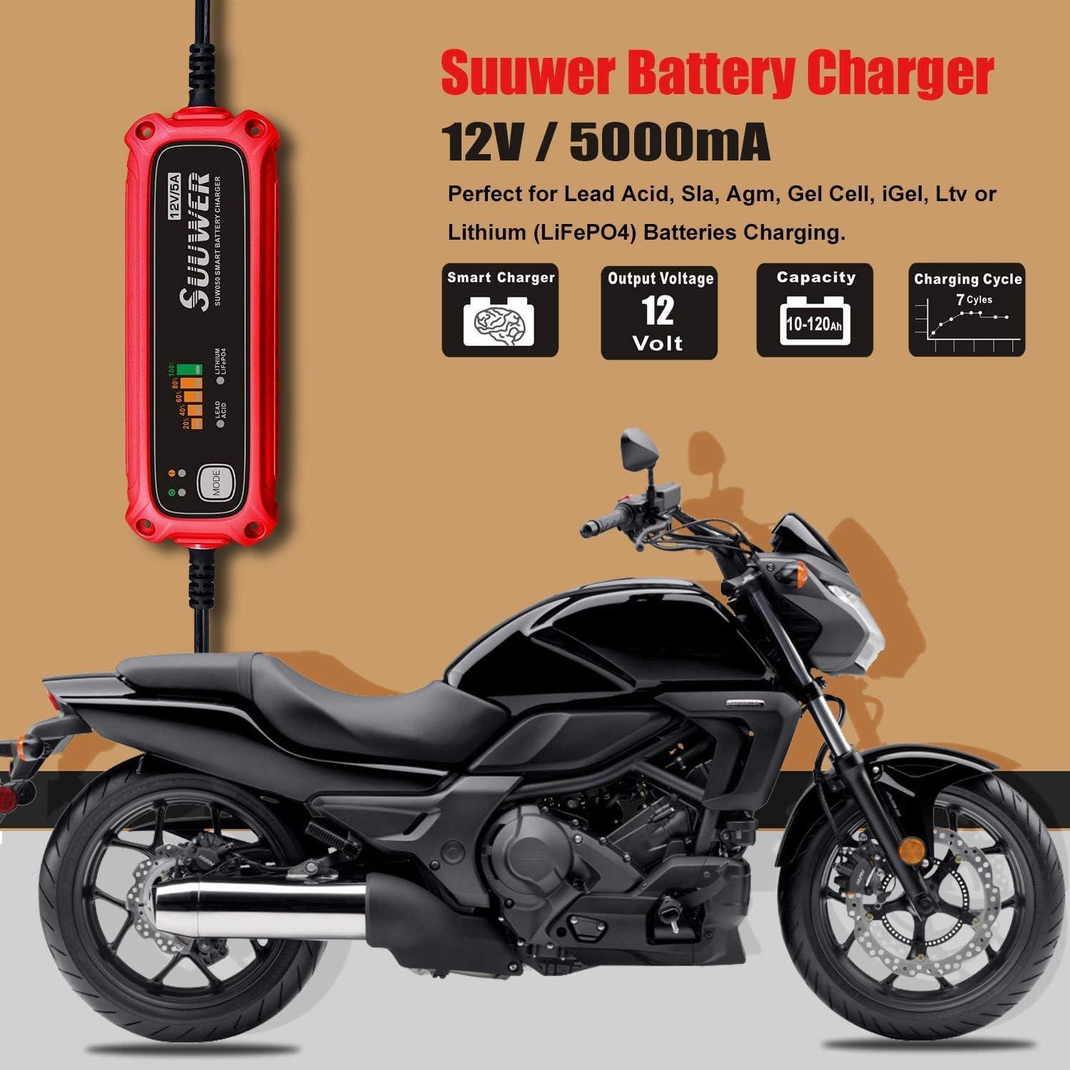 Cargador de Batería Inteligente Suuwer 12V 5A para Coche y Moto