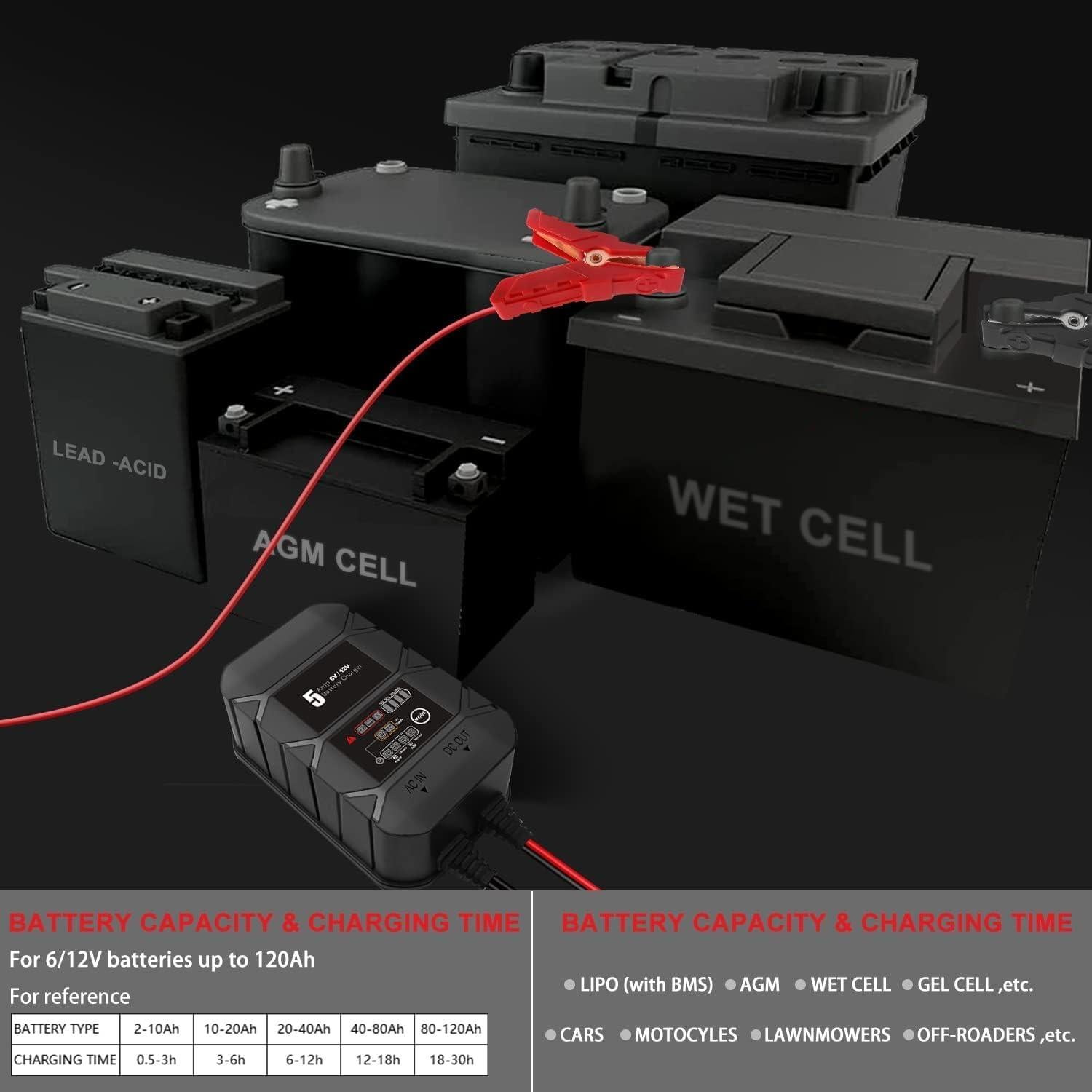 Cargador de Batería Inteligente BYGD 5A 6V 12V Automotriz