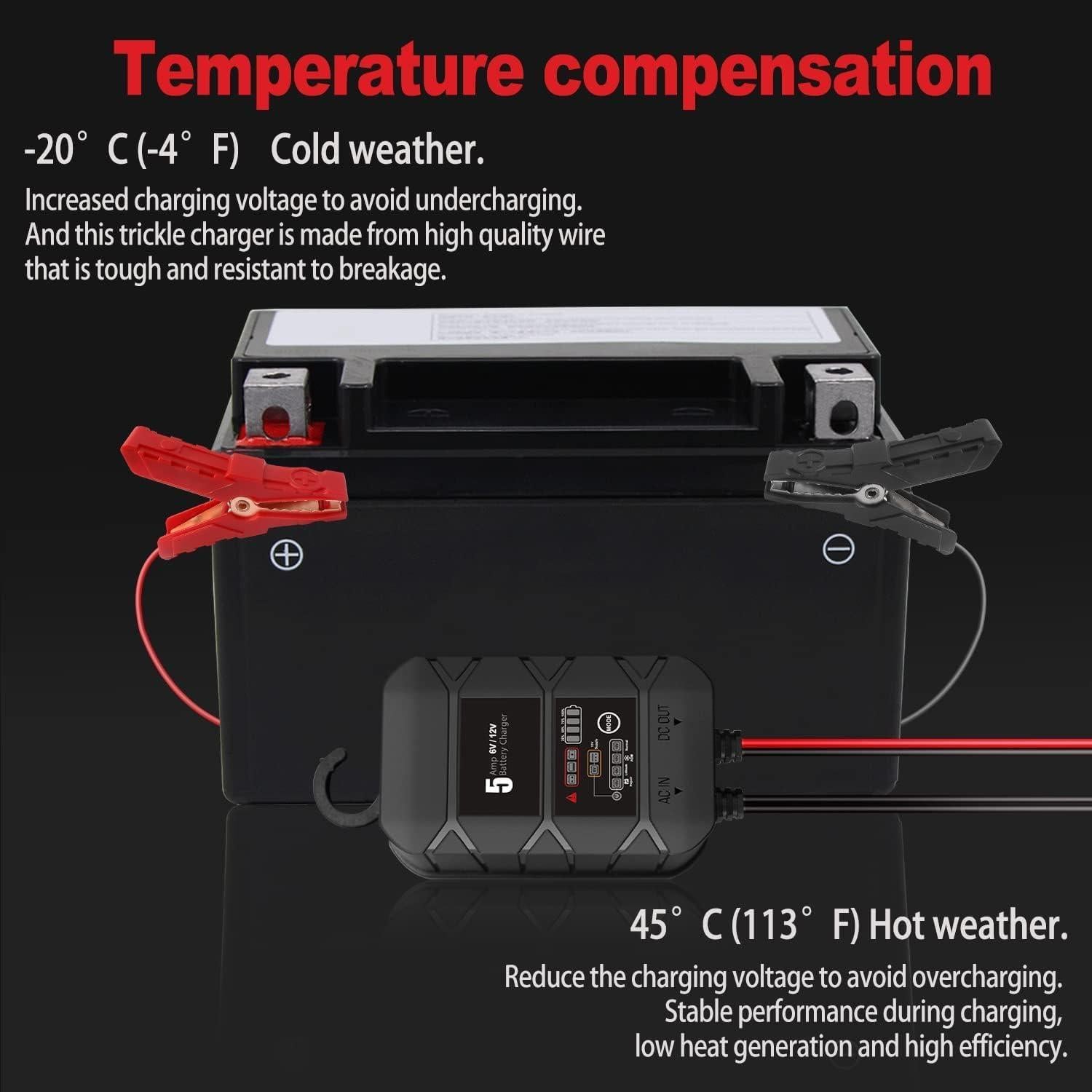 Cargador de Batería Inteligente BYGD 5A 6V 12V Automotriz