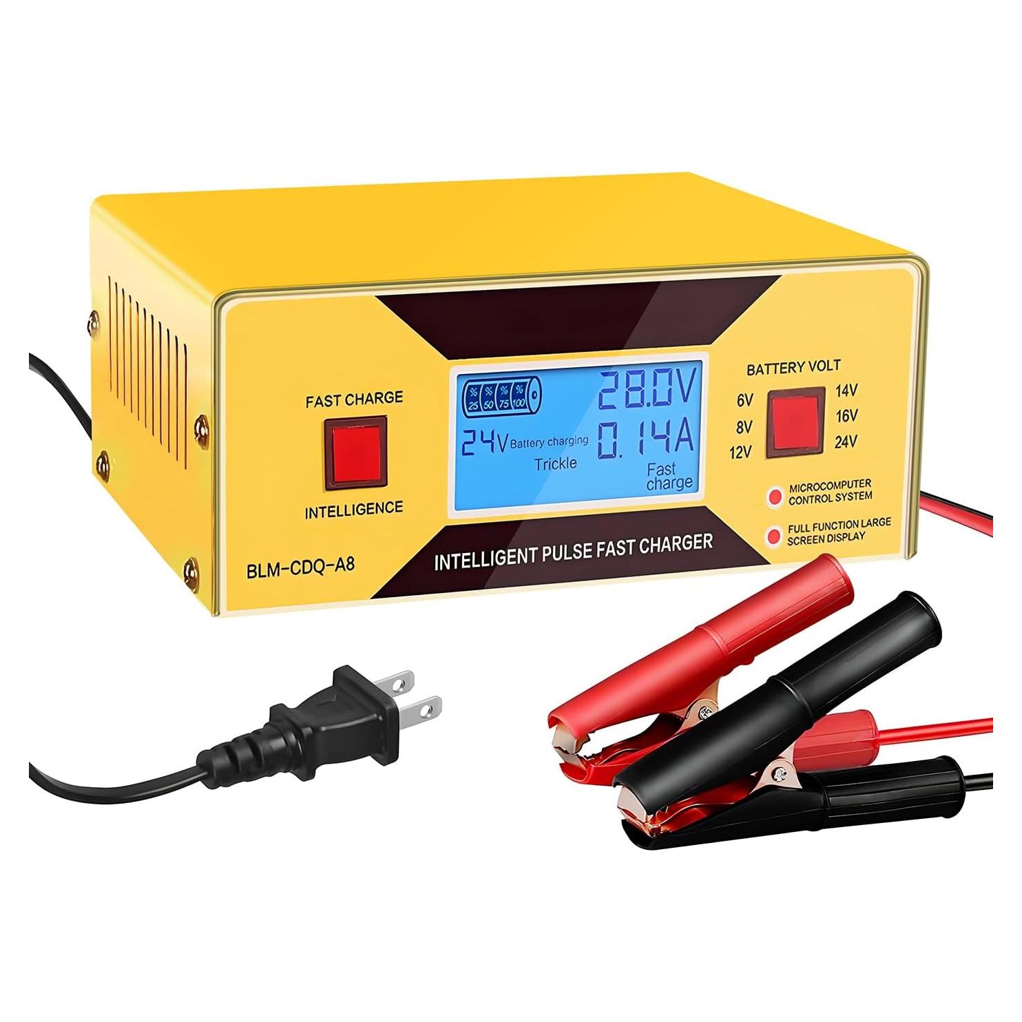 Cargador de Baterías Automático HUIAIPAIC 6-24V 10A