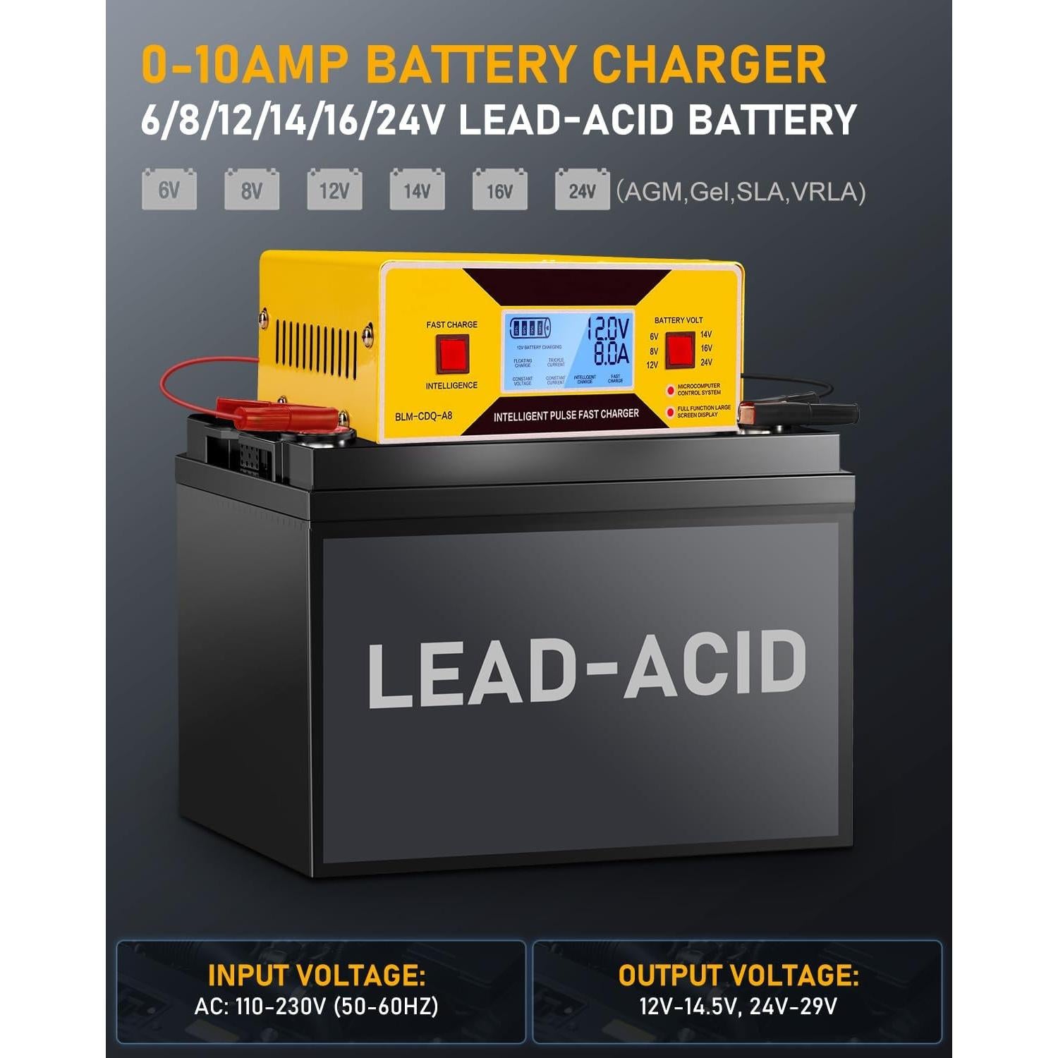 Cargador de Baterías Automático HUIAIPAIC 6-24V 10A