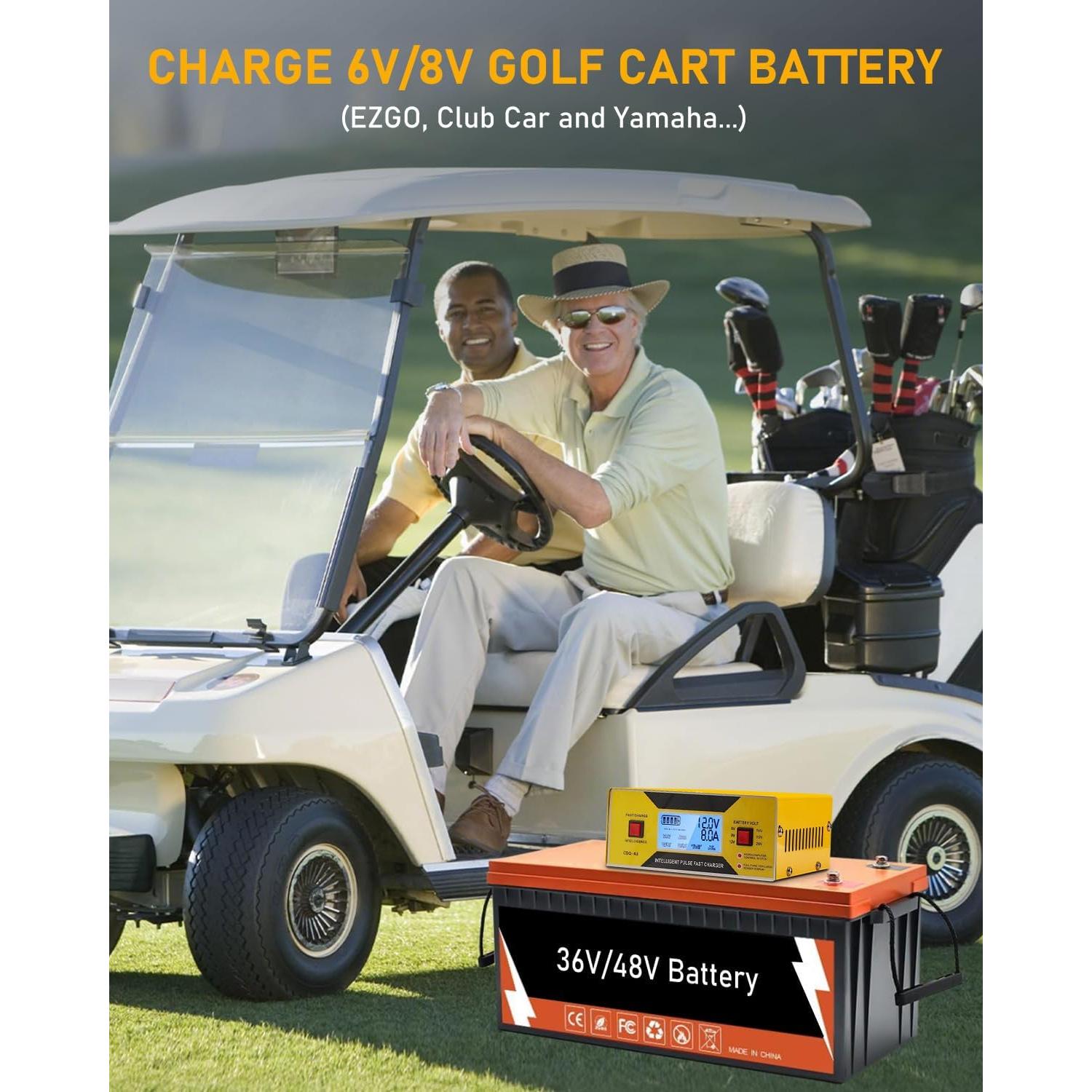 Cargador de Baterías Automático HUIAIPAIC 6-24V 10A