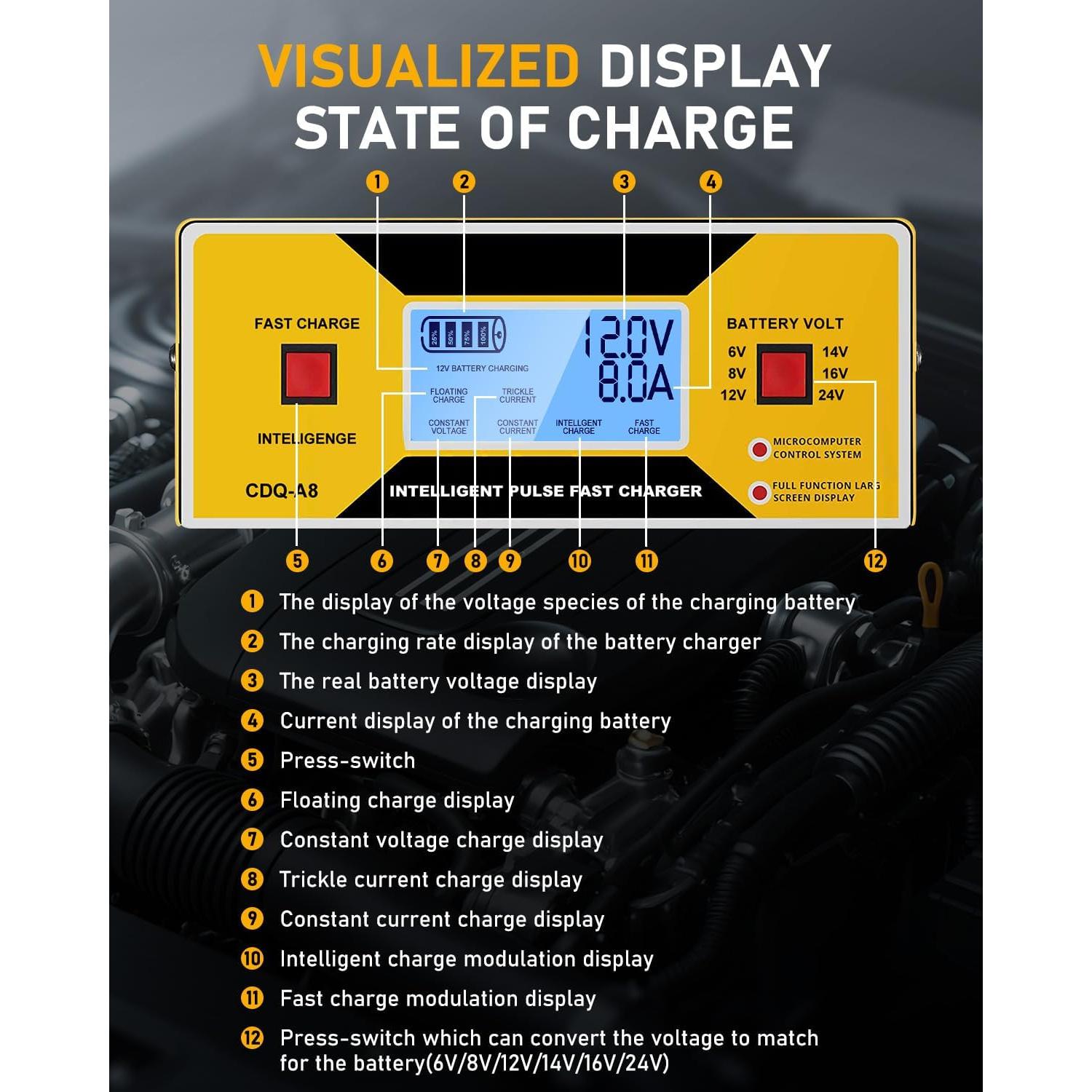 Cargador de Baterías Automático HUIAIPAIC 6-24V 10A