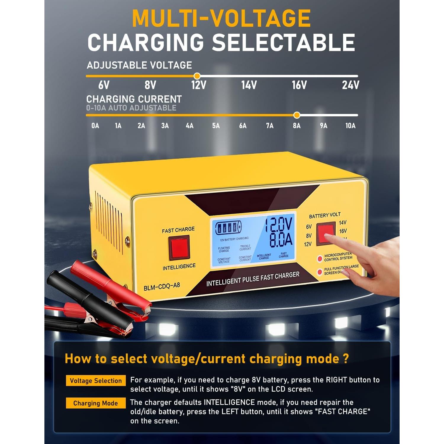 Cargador de Baterías Automático HUIAIPAIC 6-24V 10A