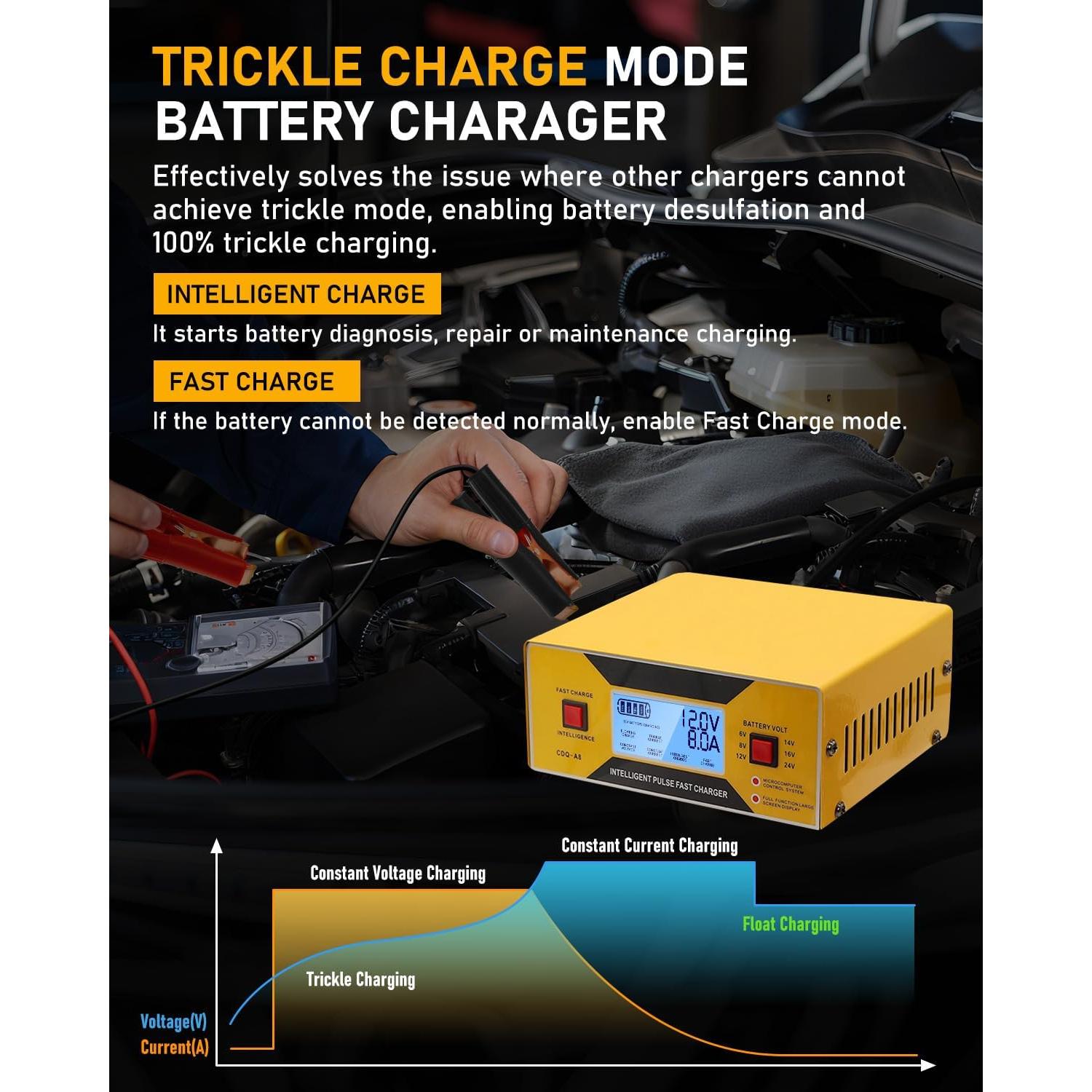 Cargador de Baterías Automático HUIAIPAIC 6-24V 10A