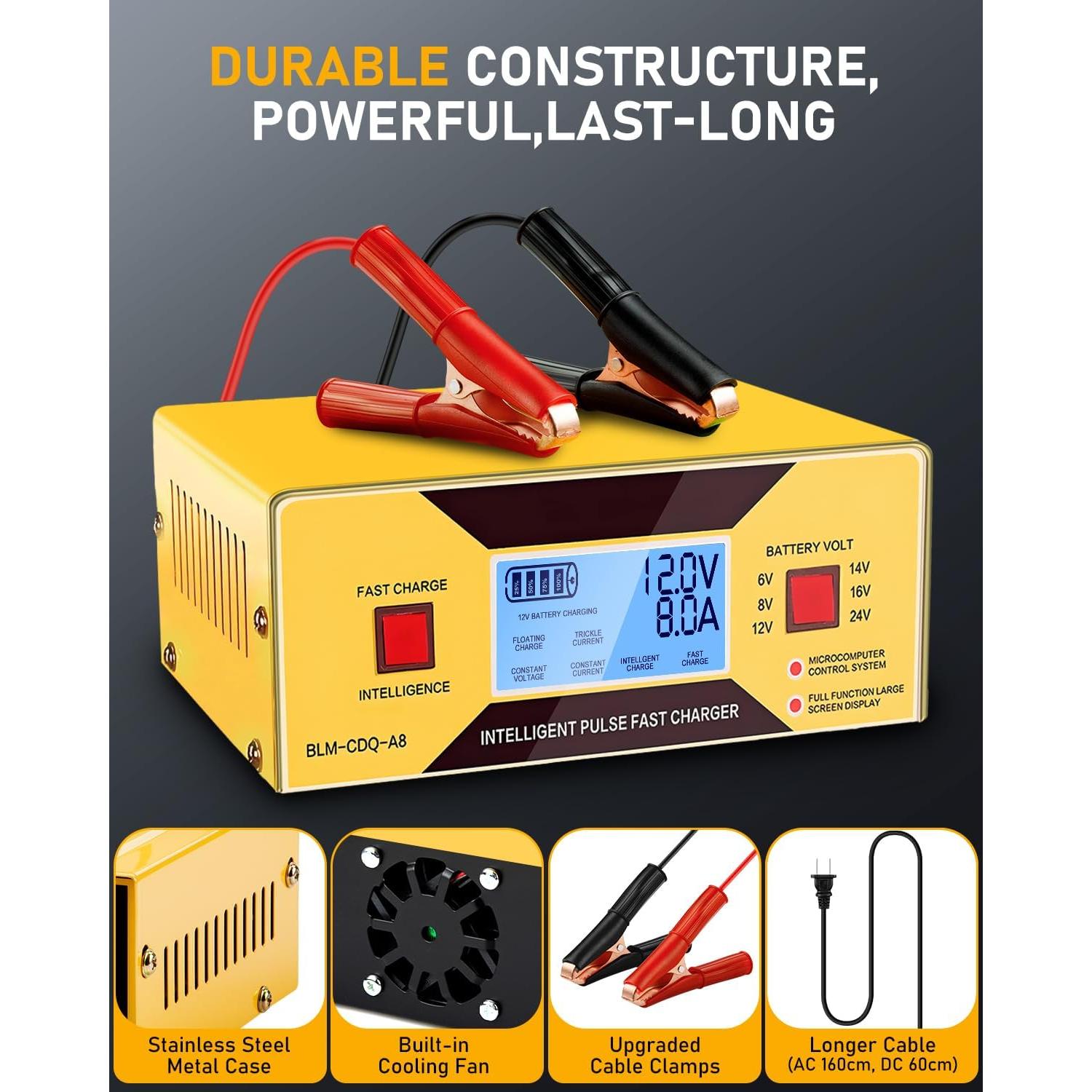 Cargador de Baterías Automático HUIAIPAIC 6-24V 10A