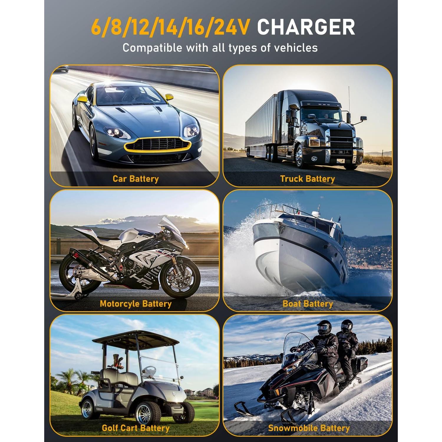 Cargador de Baterías Automático HUIAIPAIC 6-24V 10A