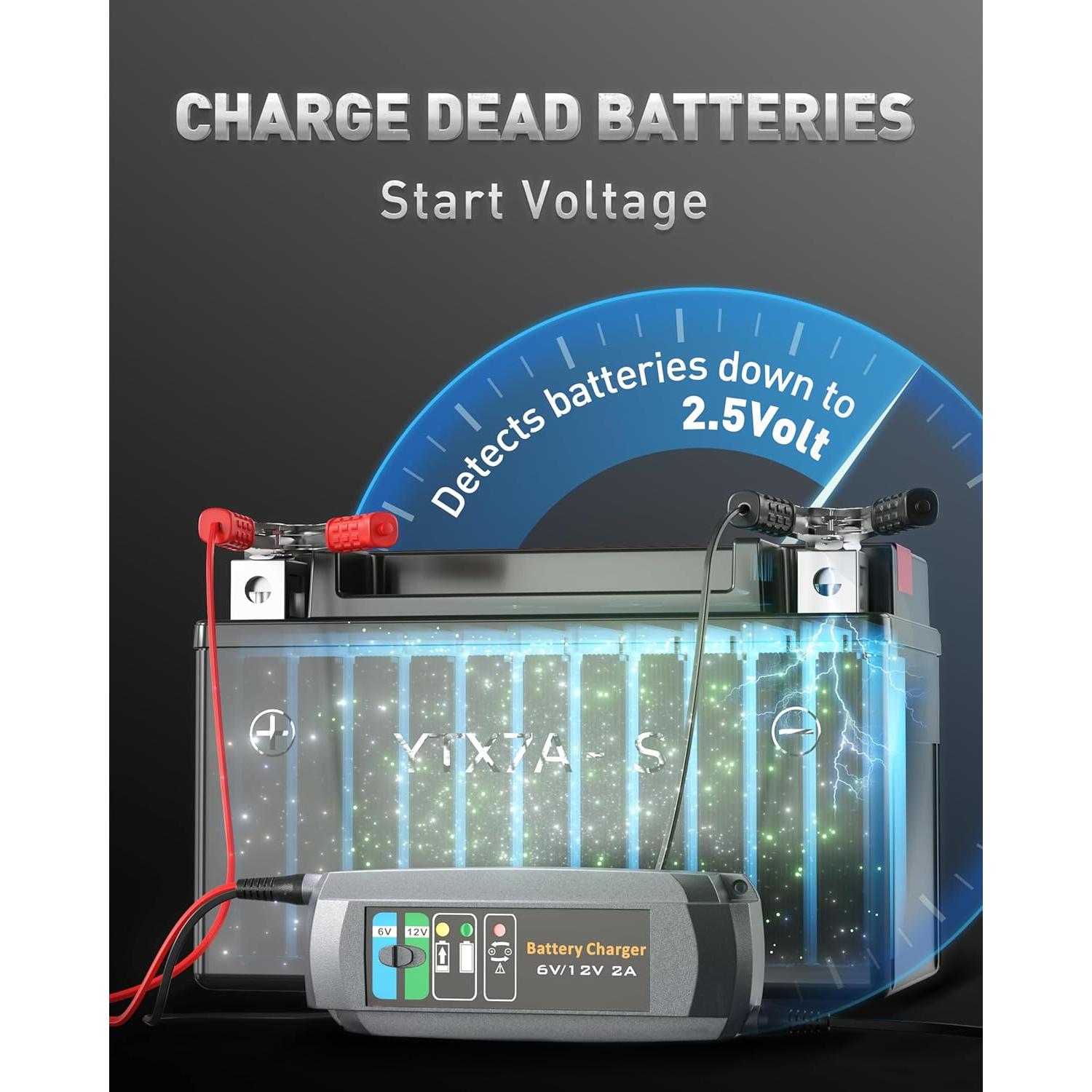 Cargador de Batería Automotriz Erayak 2A 6V/12V Inteligente