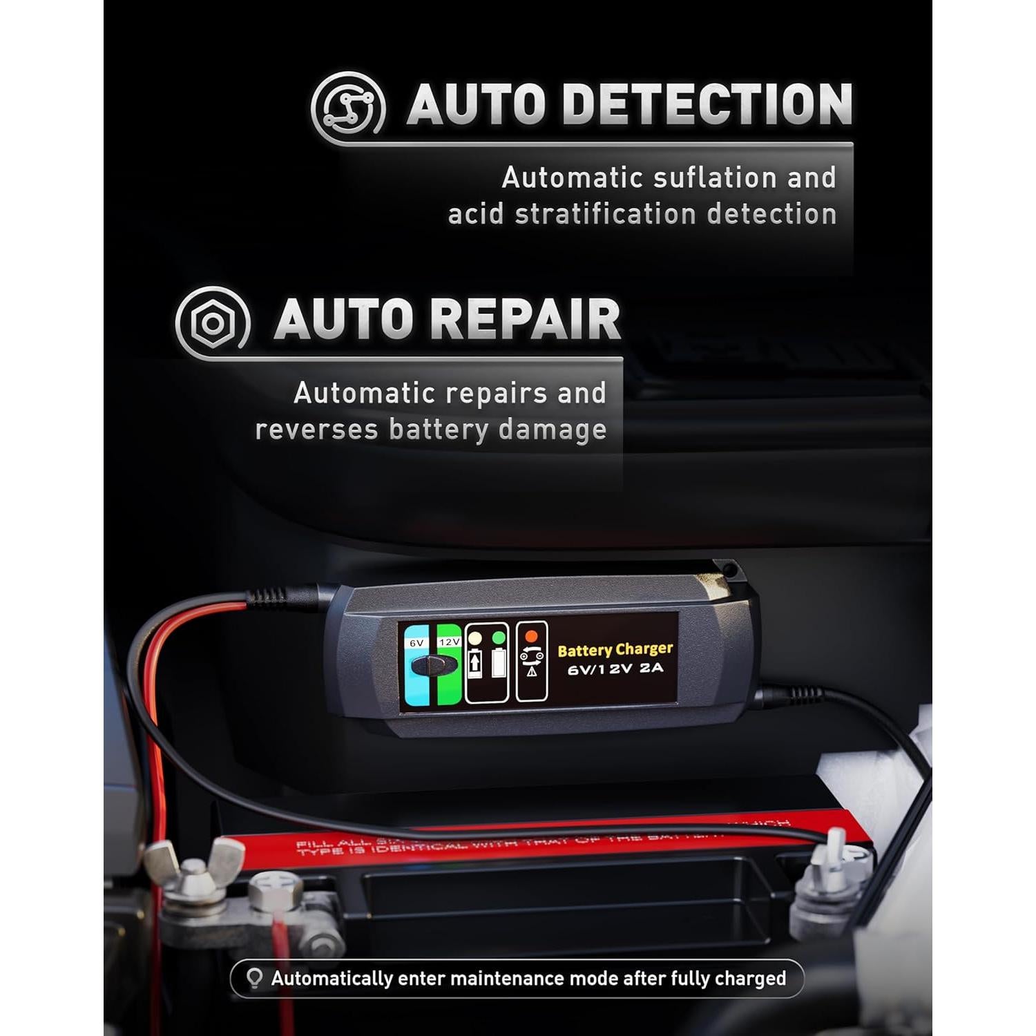 Cargador de Batería Automotriz Erayak 2A 6V/12V Inteligente