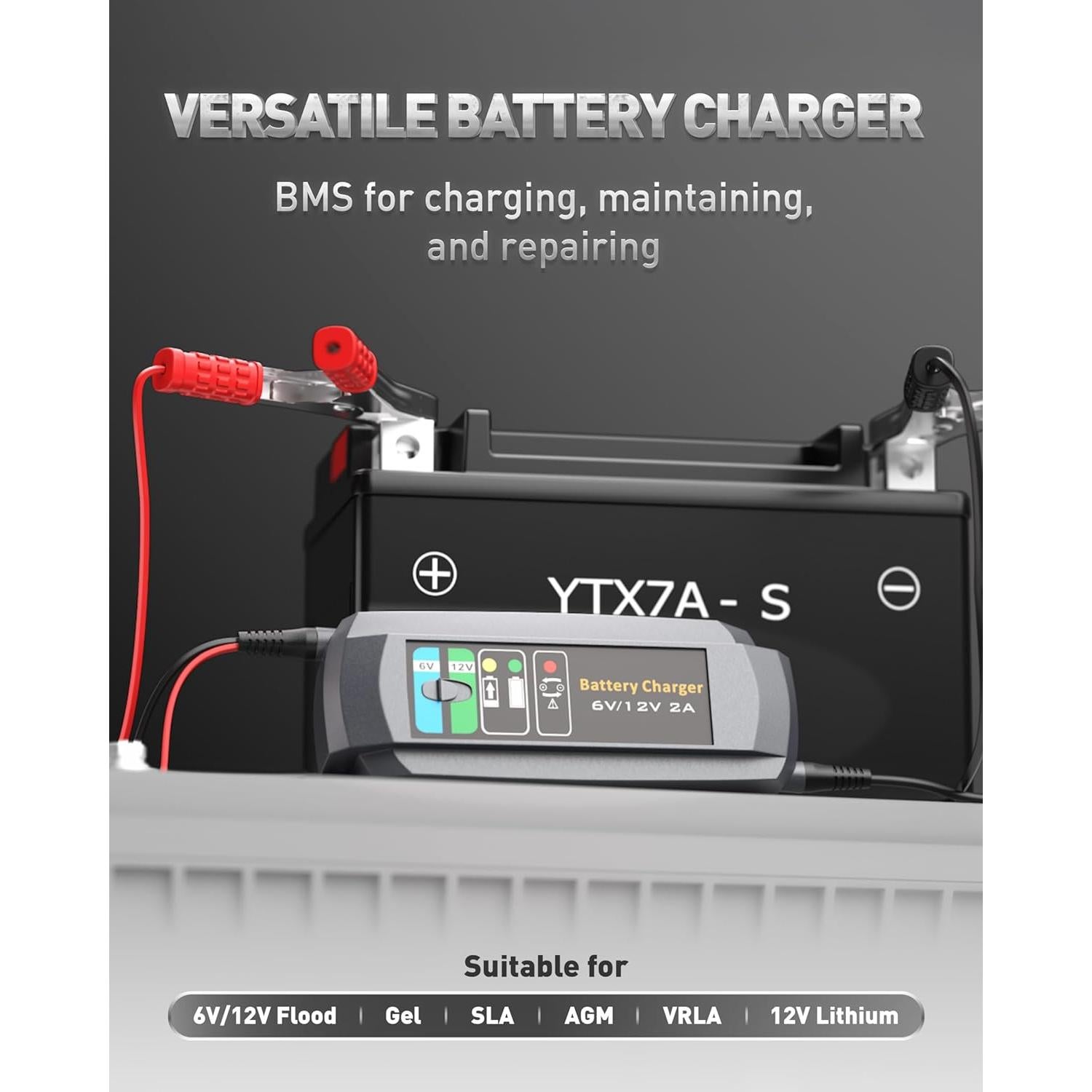 Cargador de Batería Automotriz Erayak 2A 6V/12V Inteligente