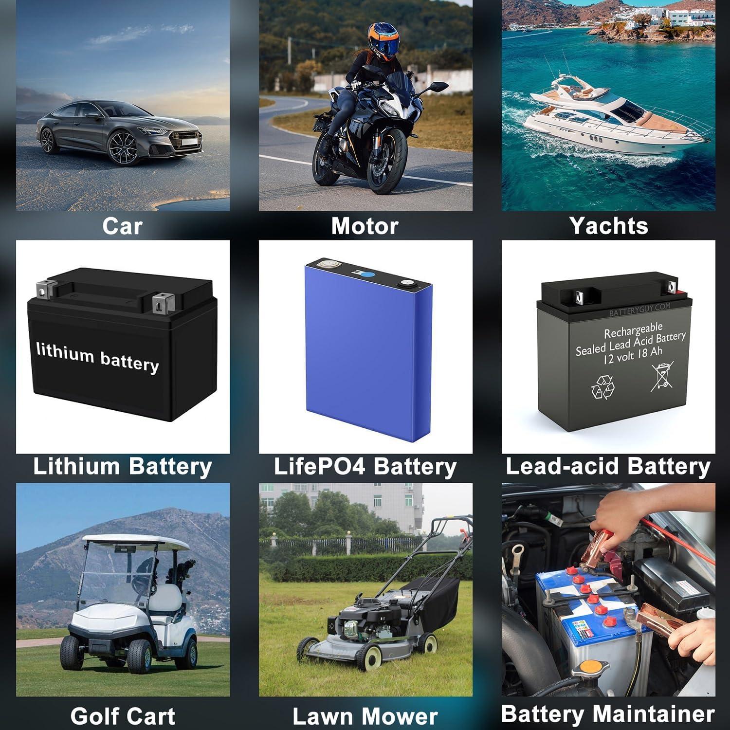 Cargador de Batería Inteligente Wuldnmar 12V/24V 12A/6A