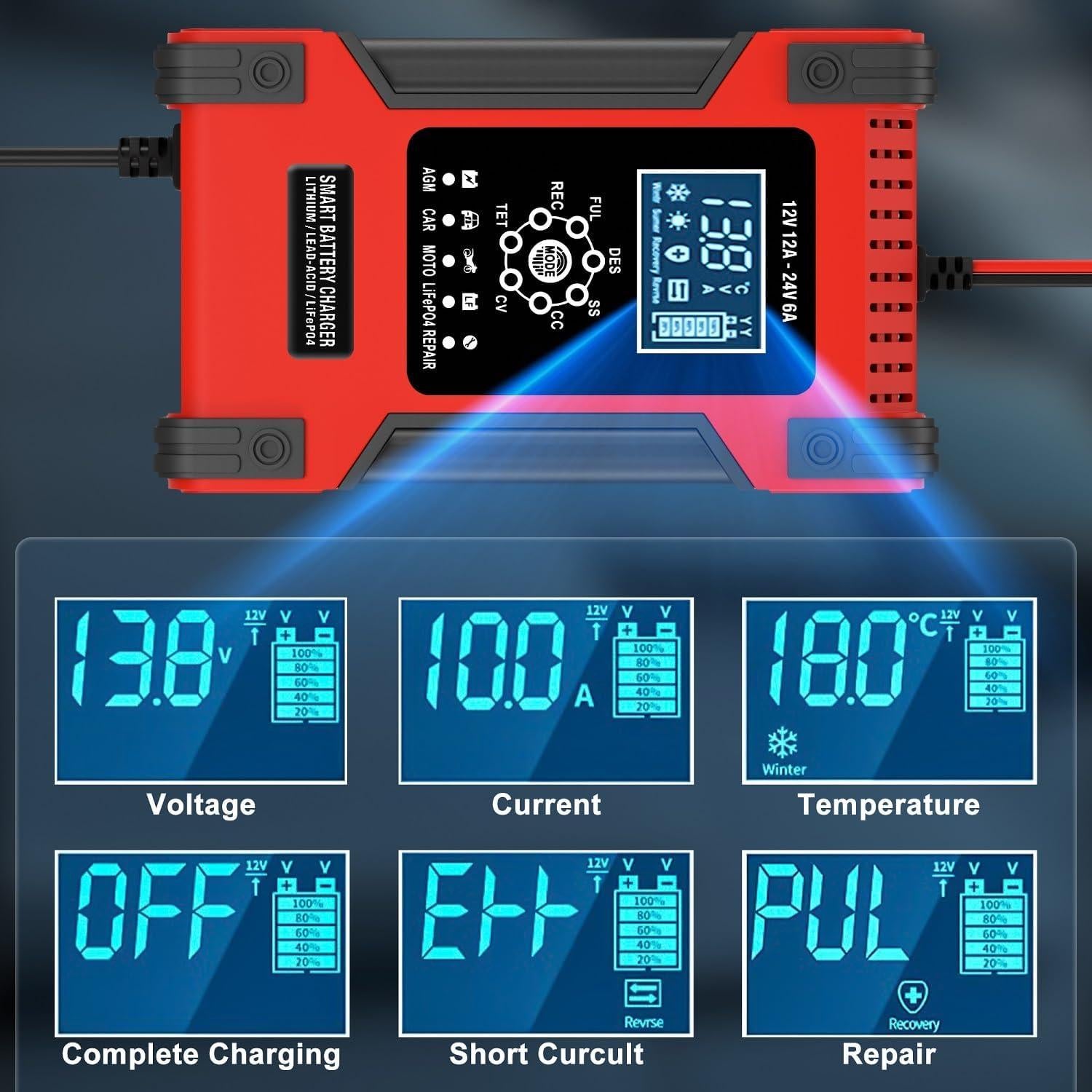 Cargador de Batería Inteligente Wuldnmar 12V/24V 12A/6A