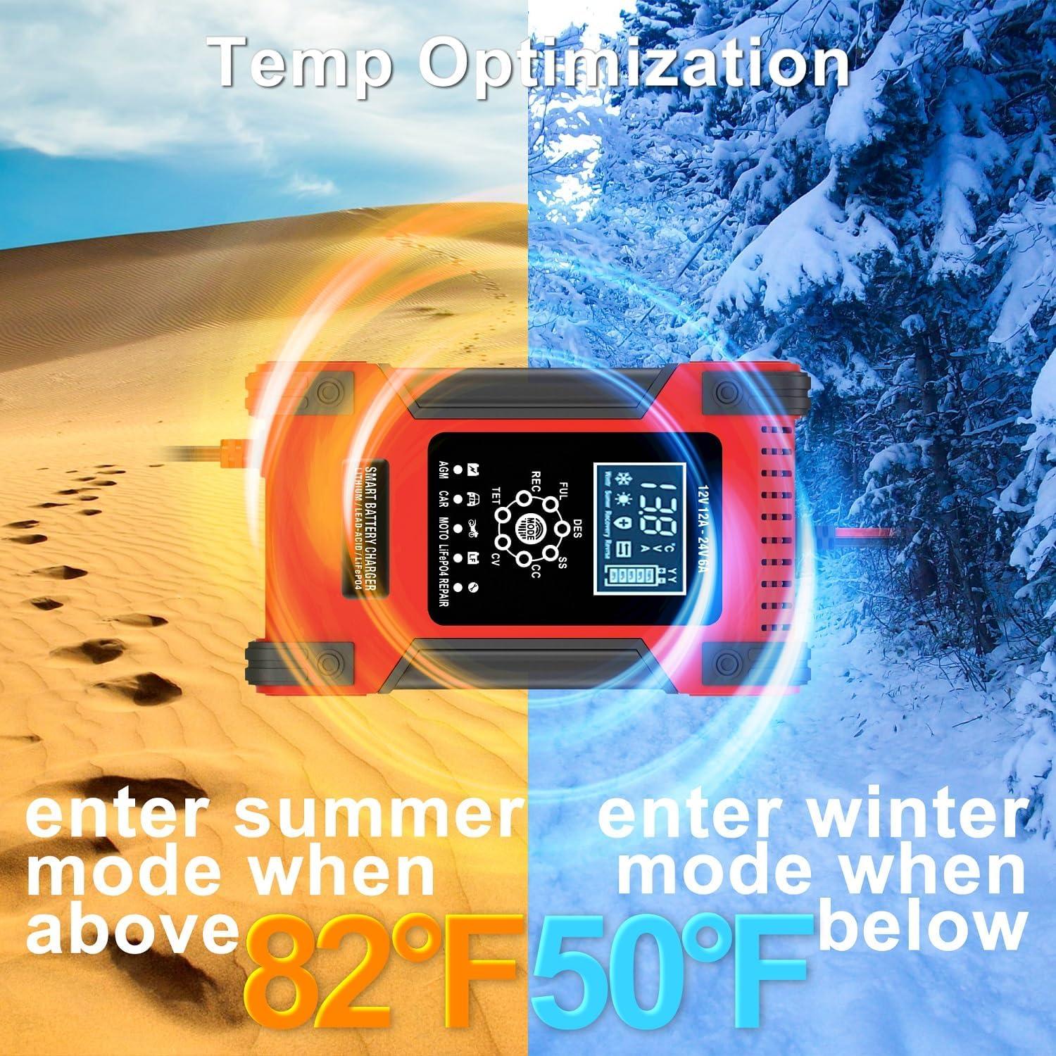 Cargador de Batería Inteligente Wuldnmar 12V/24V 12A/6A