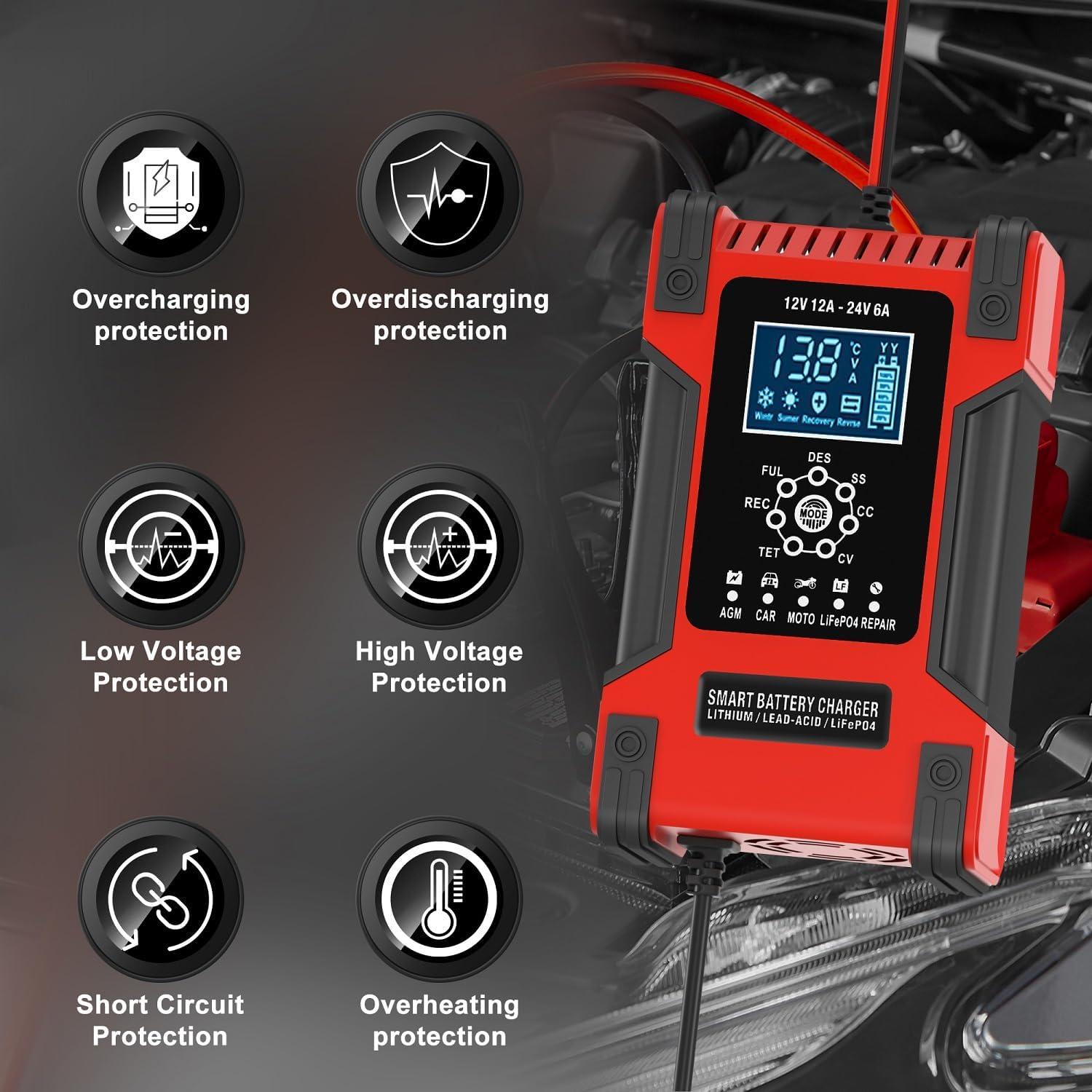 Cargador de Batería Inteligente Wuldnmar 12V/24V 12A/6A