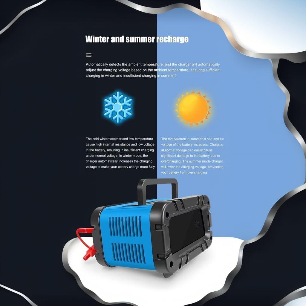 Cargador de Batería Inteligente 12V/24V 20A Genérico