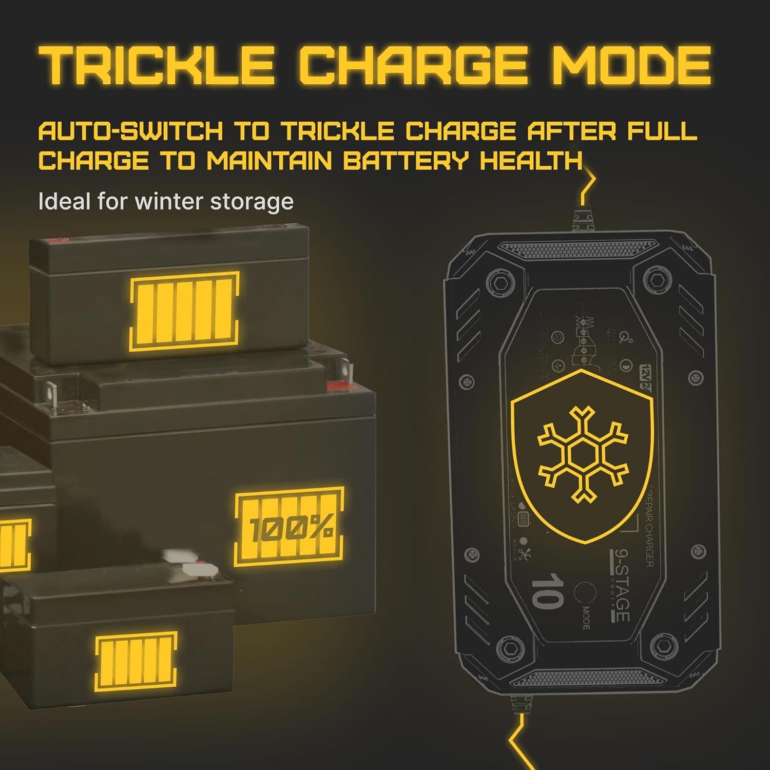 Cargador de Batería Inteligente 10A 12V/24V ESB Automático