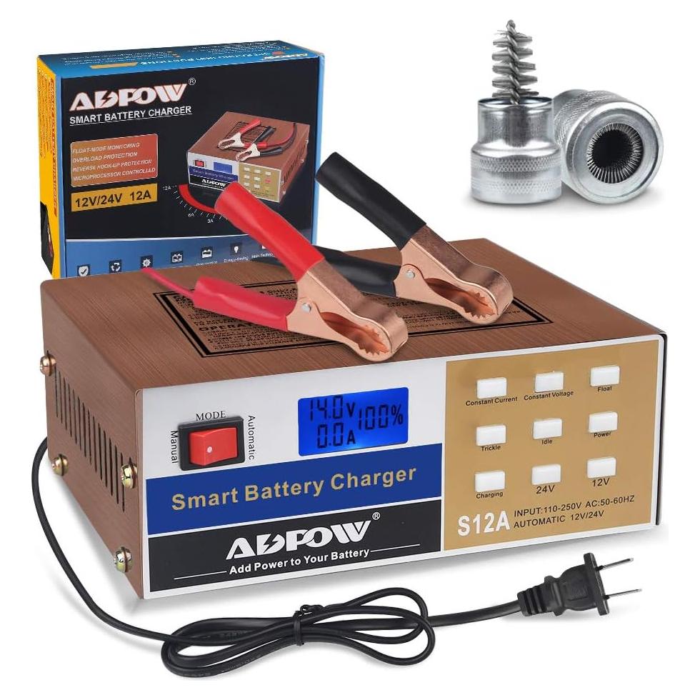 Cargador de Batería Inteligente ADPOW 12V 24V 12A 220W