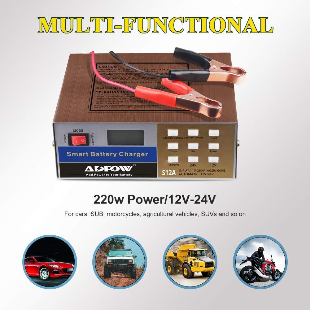 Cargador de Batería Inteligente ADPOW 12V 24V 12A 220W