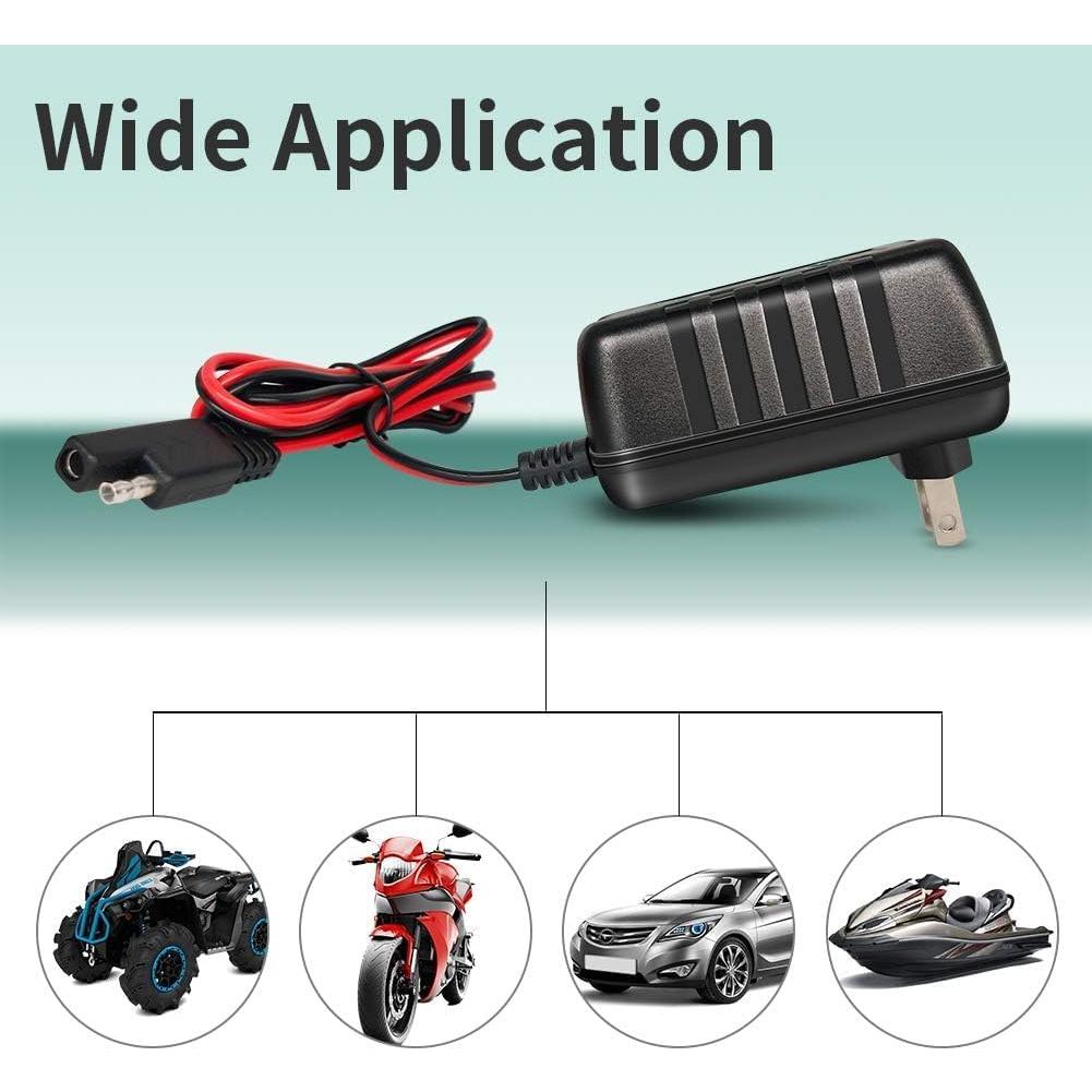 Cargador de Batería Inteligente 12V/6V Vemote 1.5A Automático