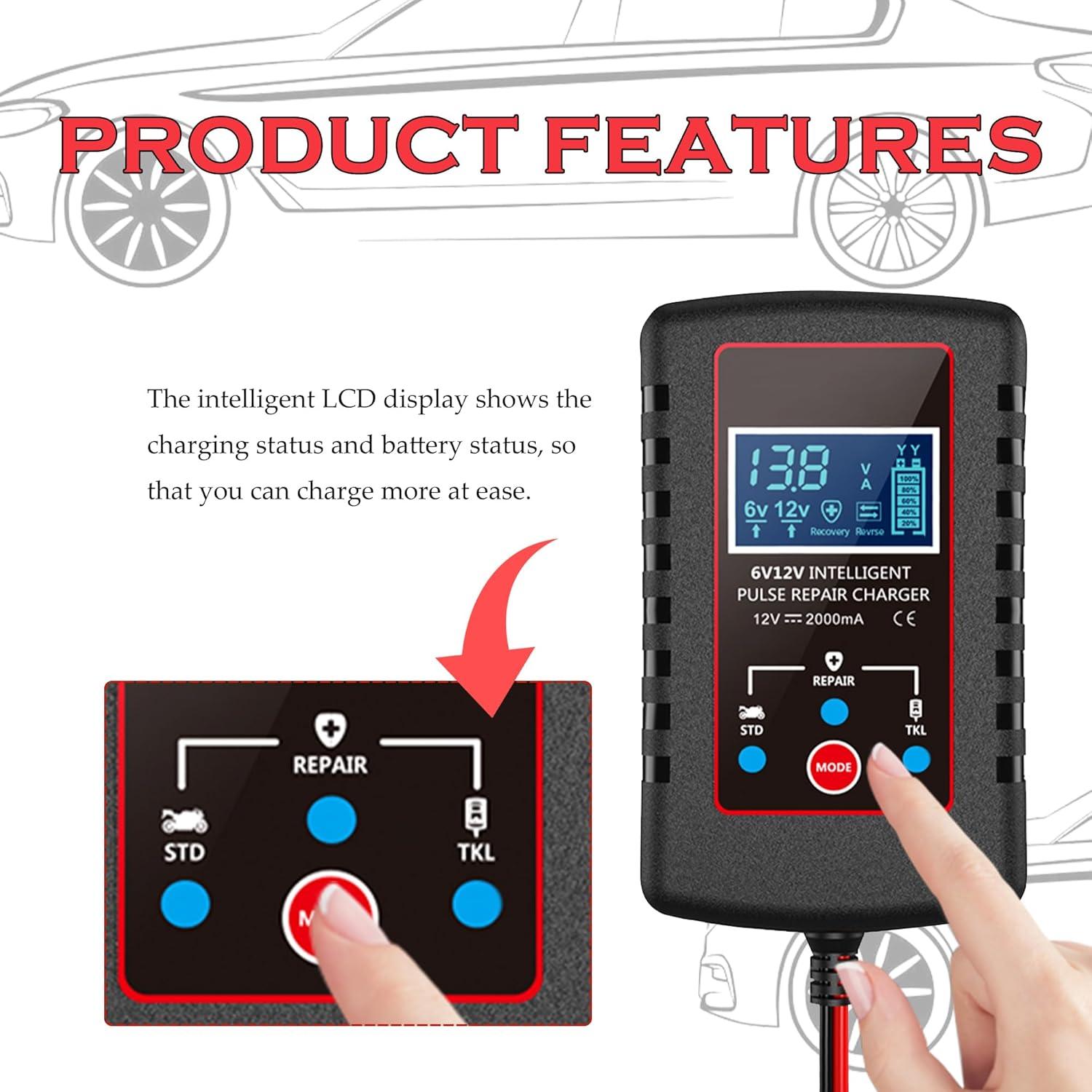 Cargador de goteo Stacool 12V/6V automático para batería