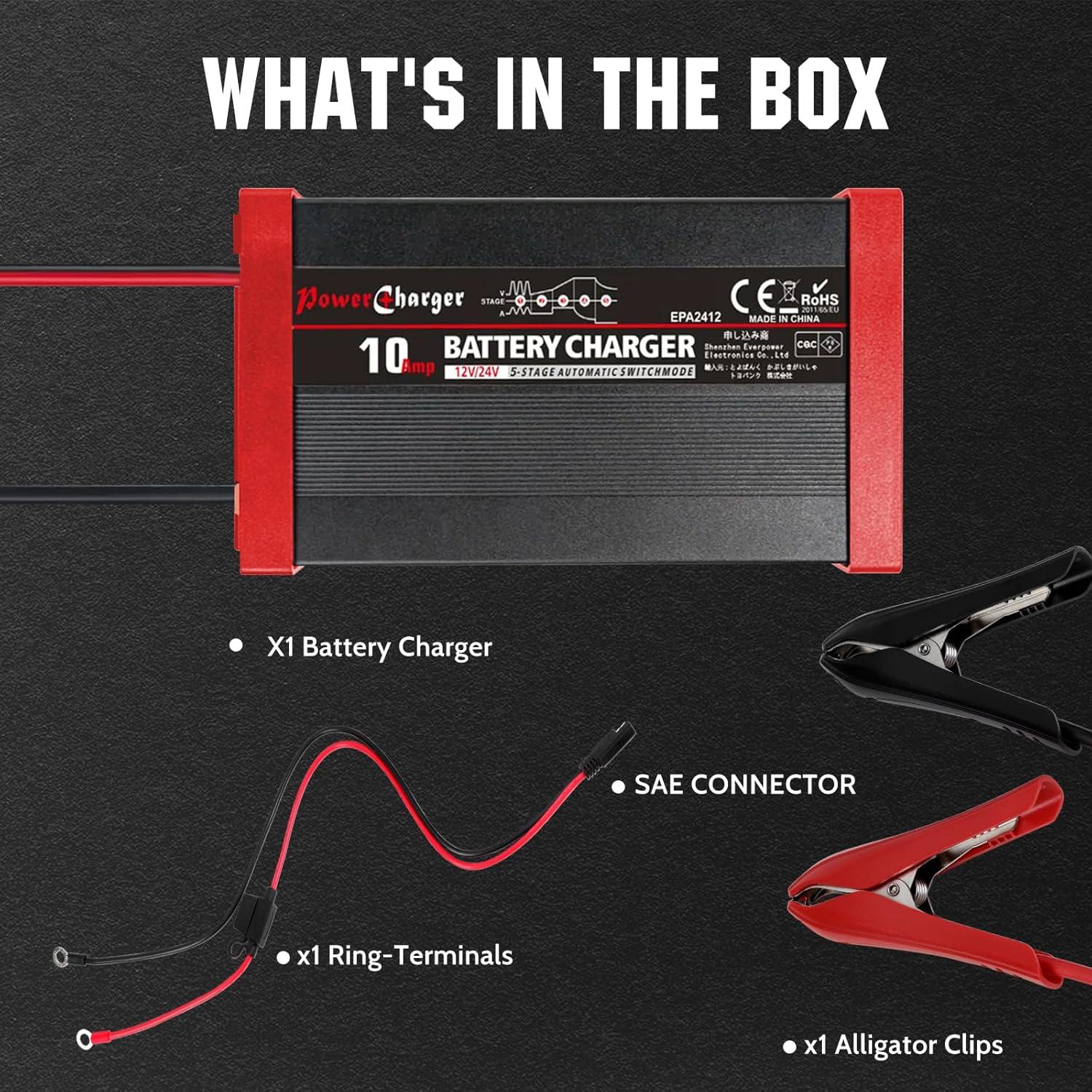 Cargador de Batería Inteligente TANKPO 10A 12V/24V 30-200Ah