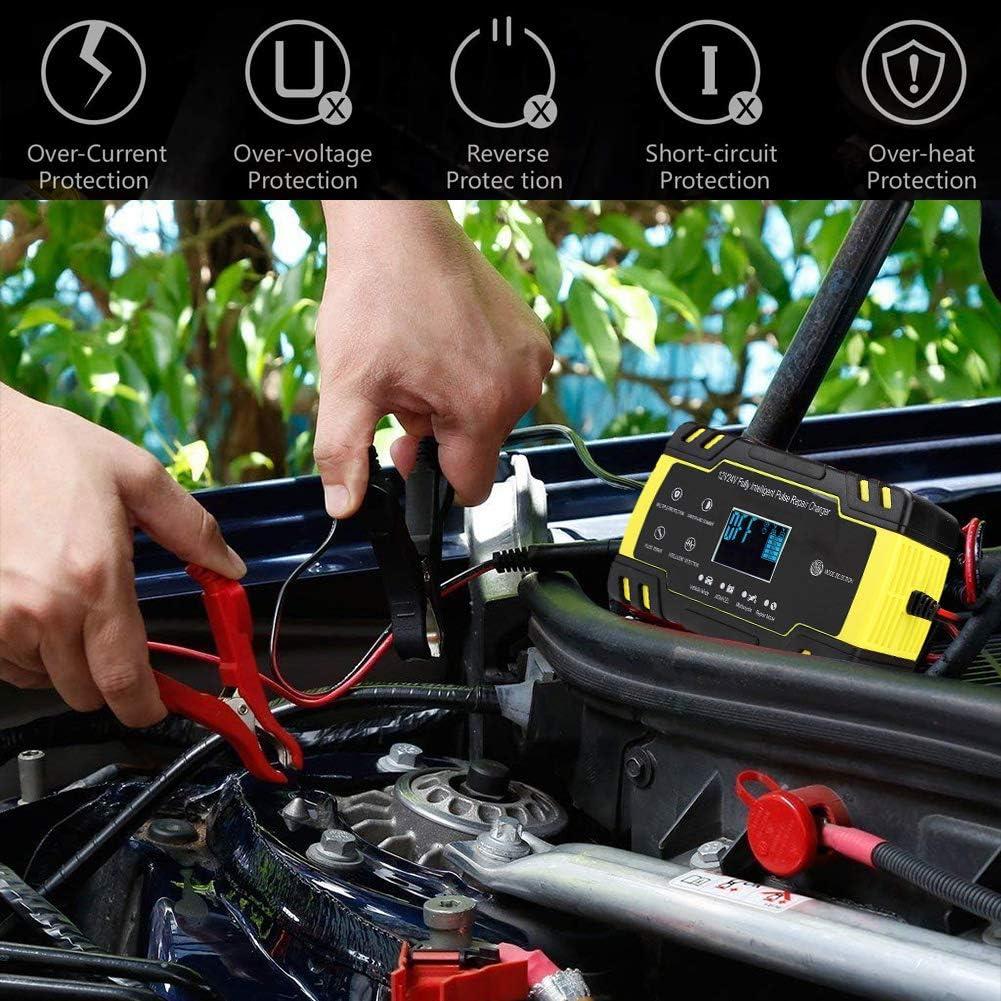 Cargador de Batería Inteligente Haofy 12V/24V 8A/4A con LCD