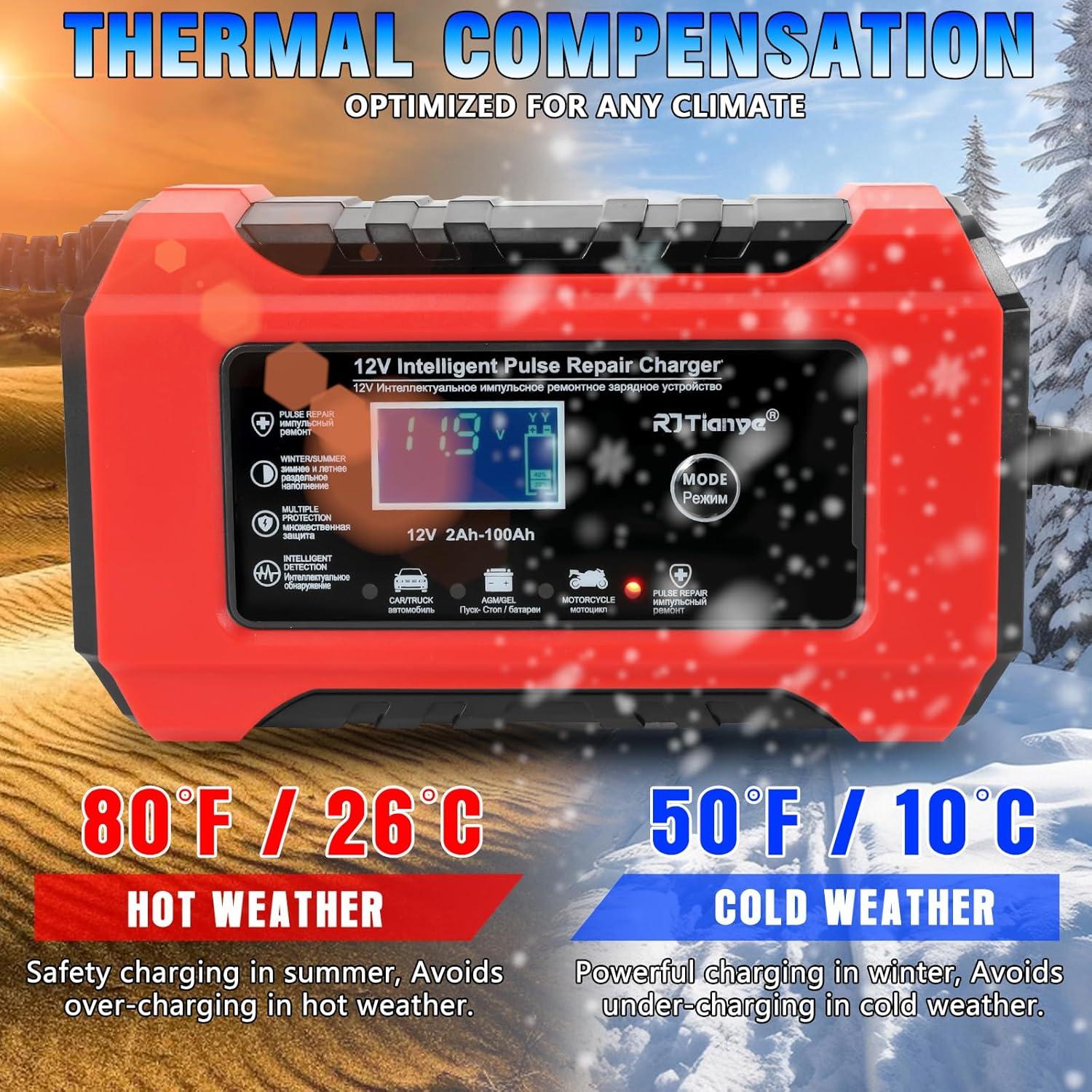 Cargador de Batería Automático JESTMOTOR 12V 24V 6A