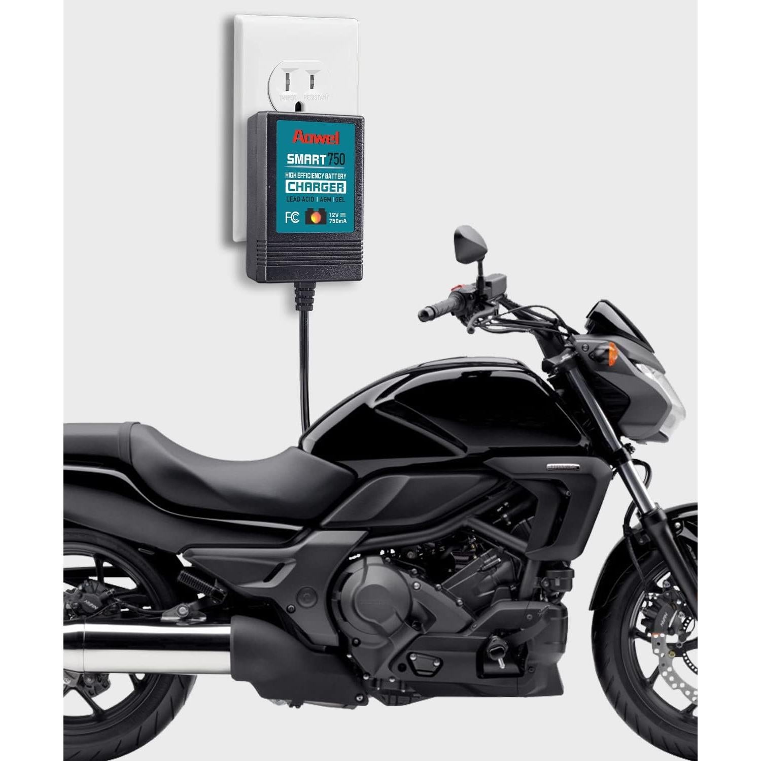 Cargador de batería inteligente Aowel 12V 750mA para coches y motos