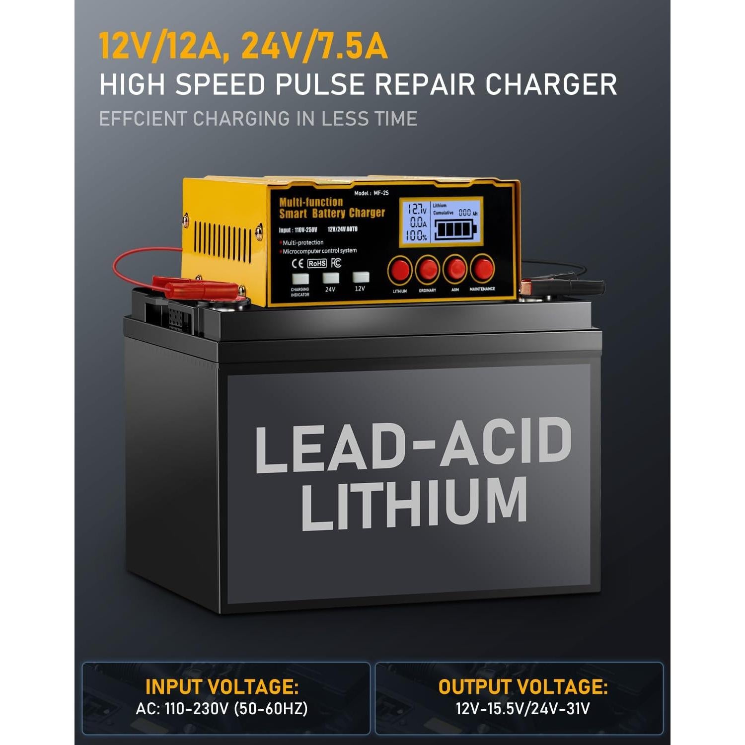 Cargador de Batería Inteligente Huiaipaic 12V/24V 12A