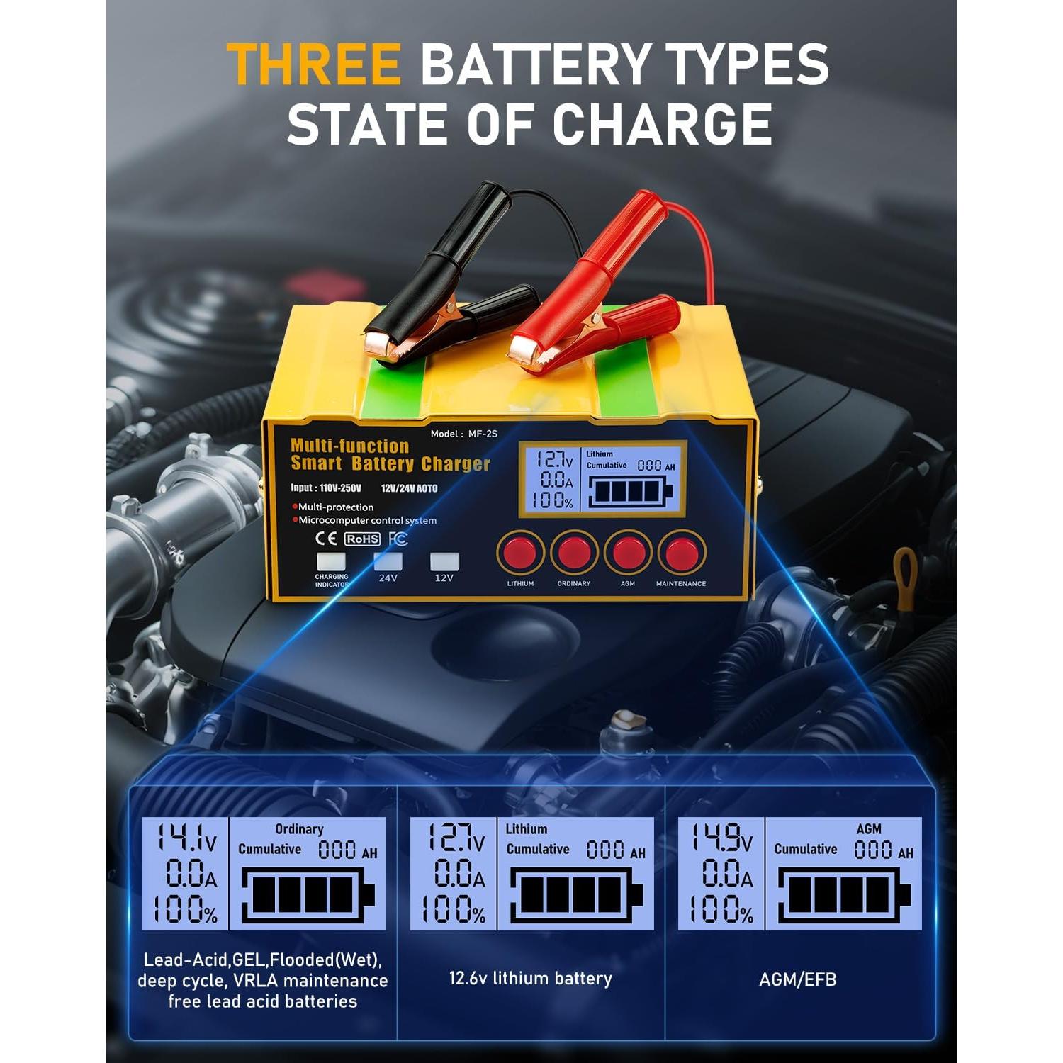 Cargador de Batería Inteligente Huiaipaic 12V/24V 12A